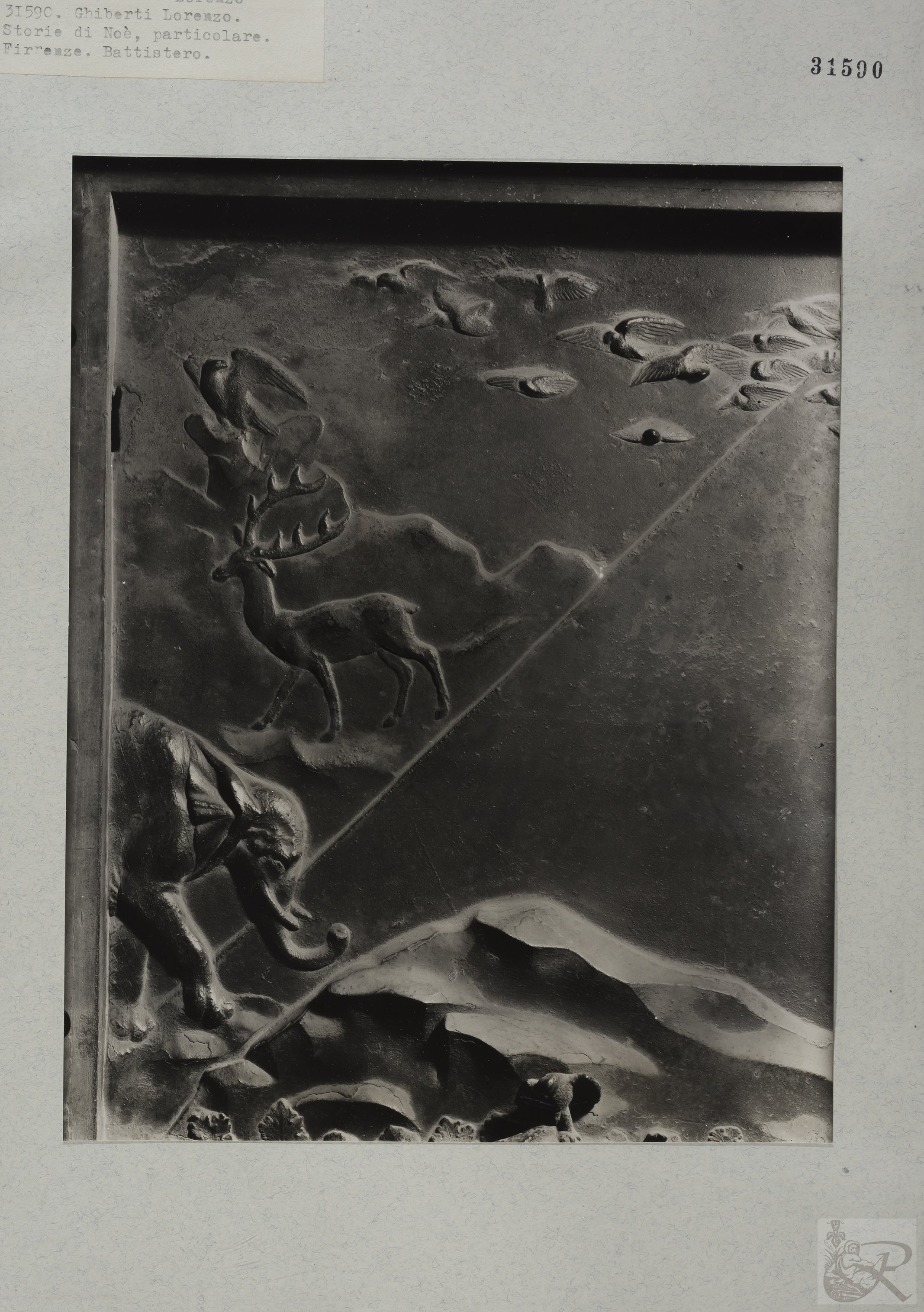 Immagine di anteprima