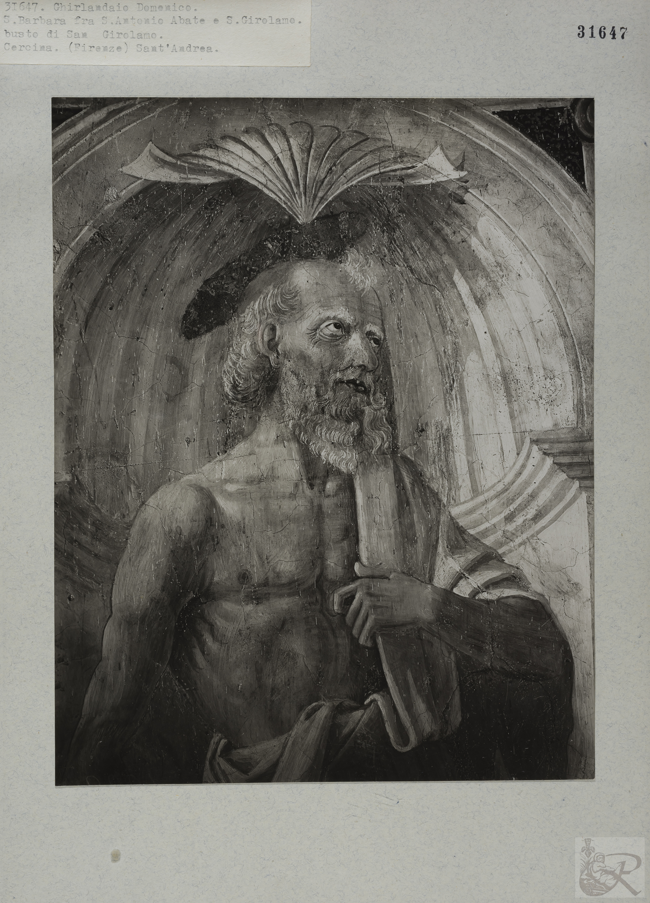 Immagine di anteprima