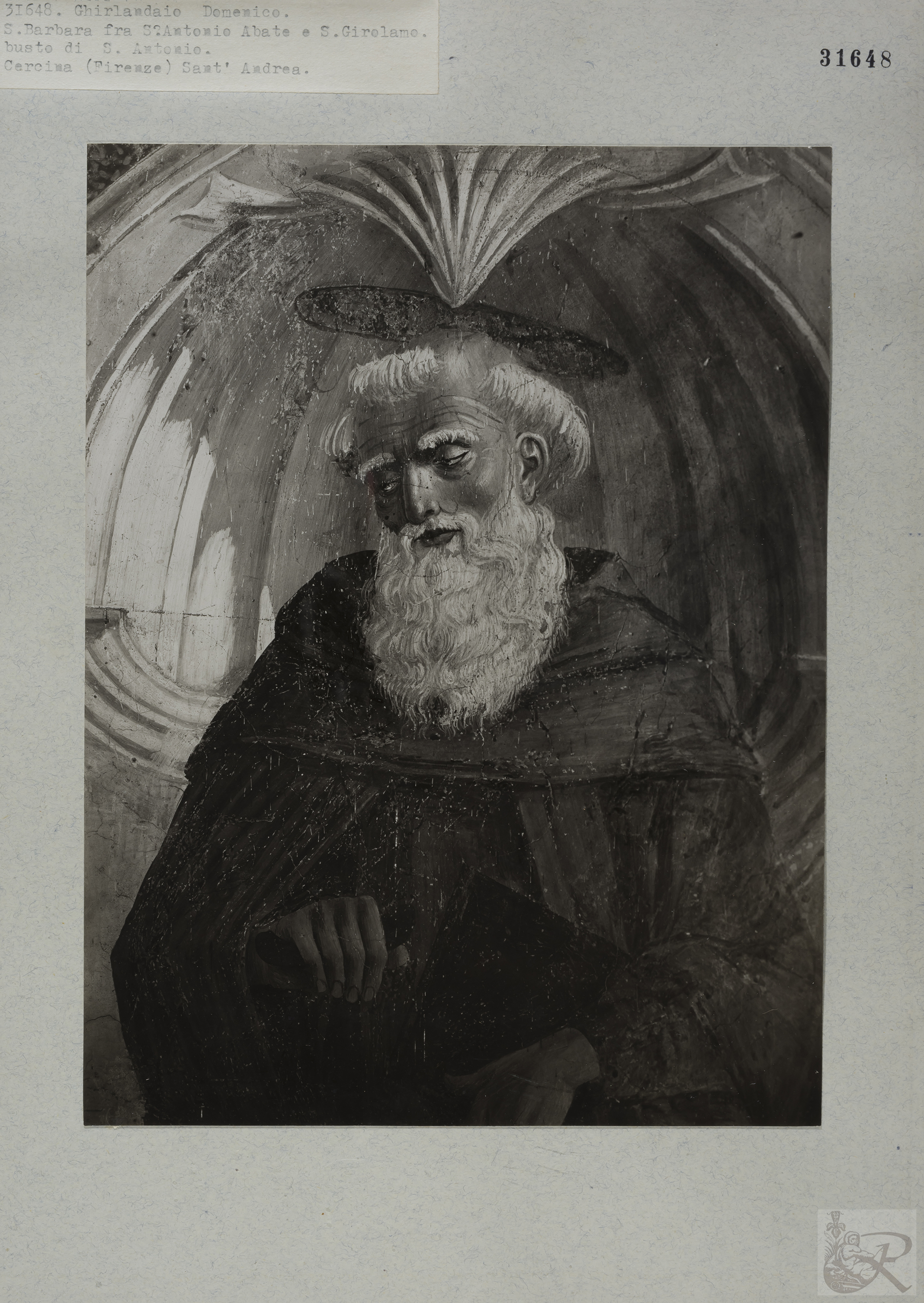 Immagine di anteprima