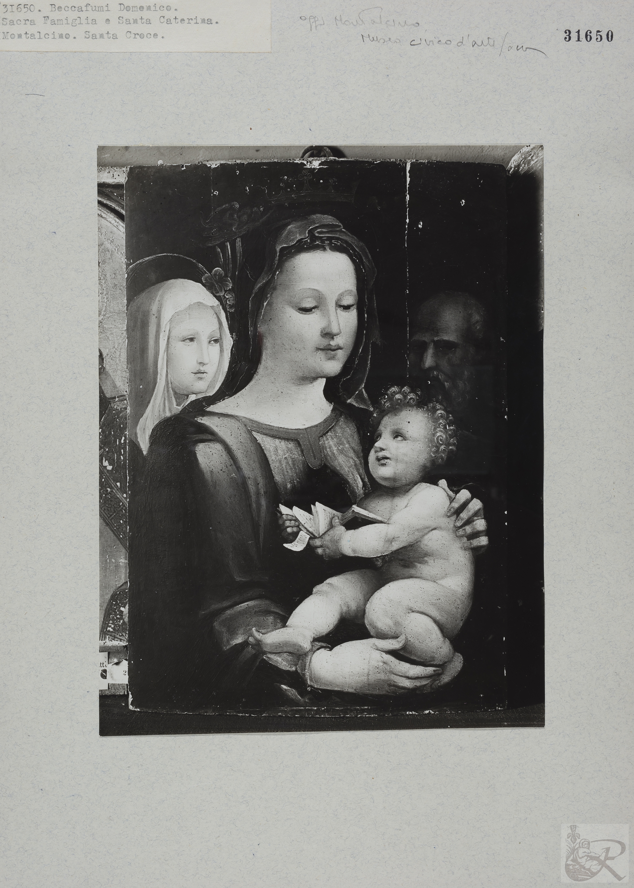 Immagine di anteprima