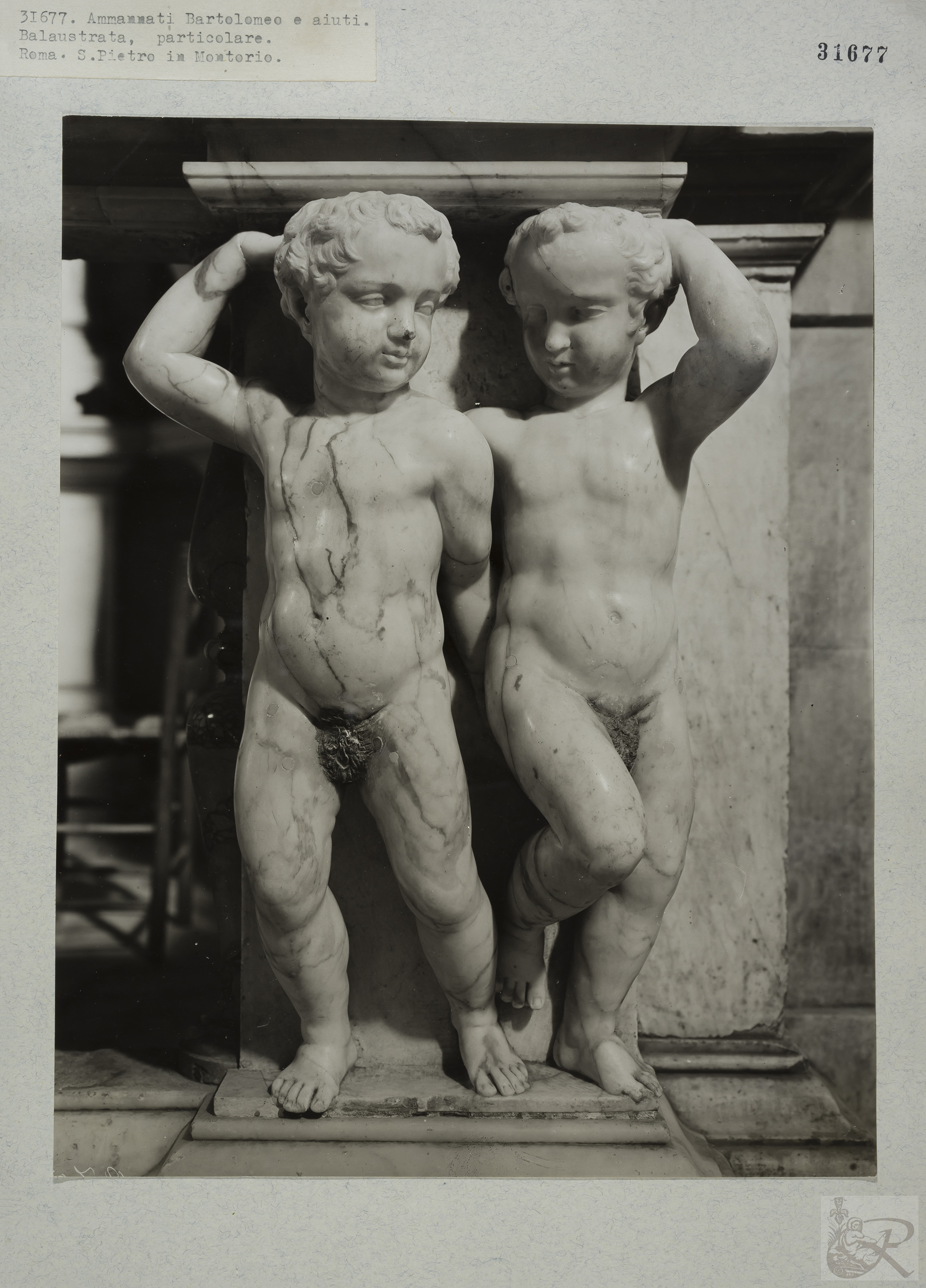 Immagine di anteprima