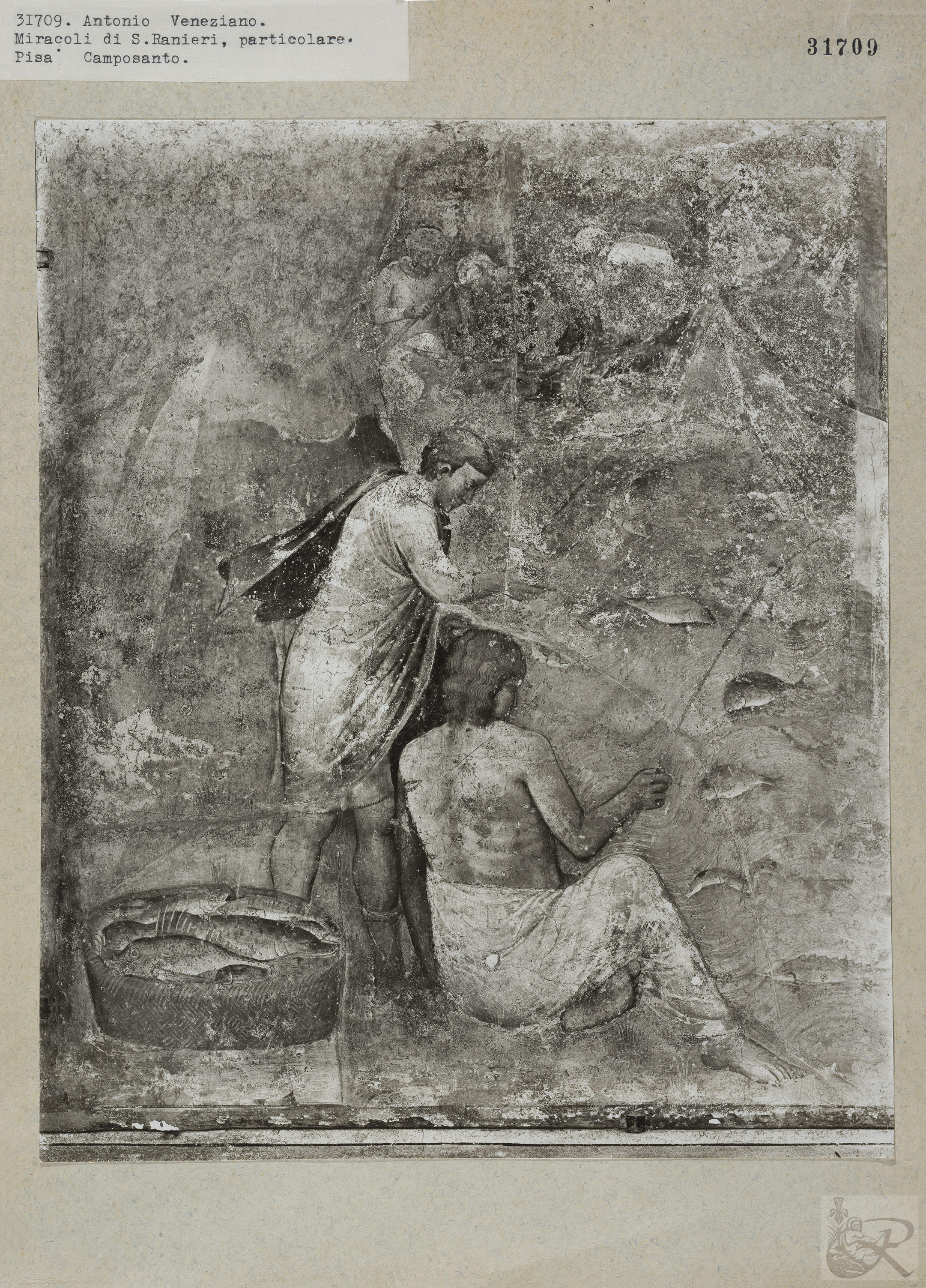 Immagine di anteprima