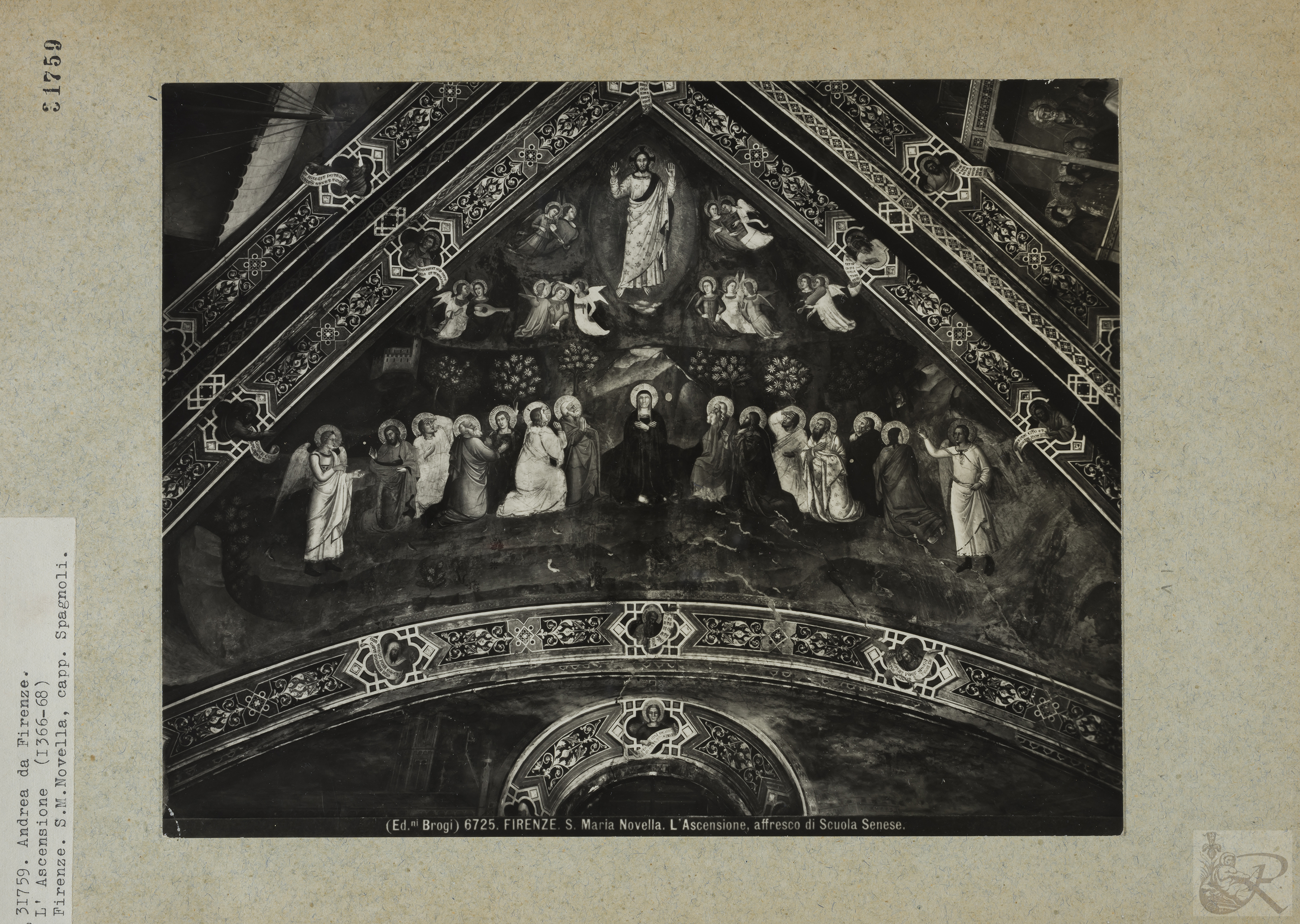 Immagine di anteprima