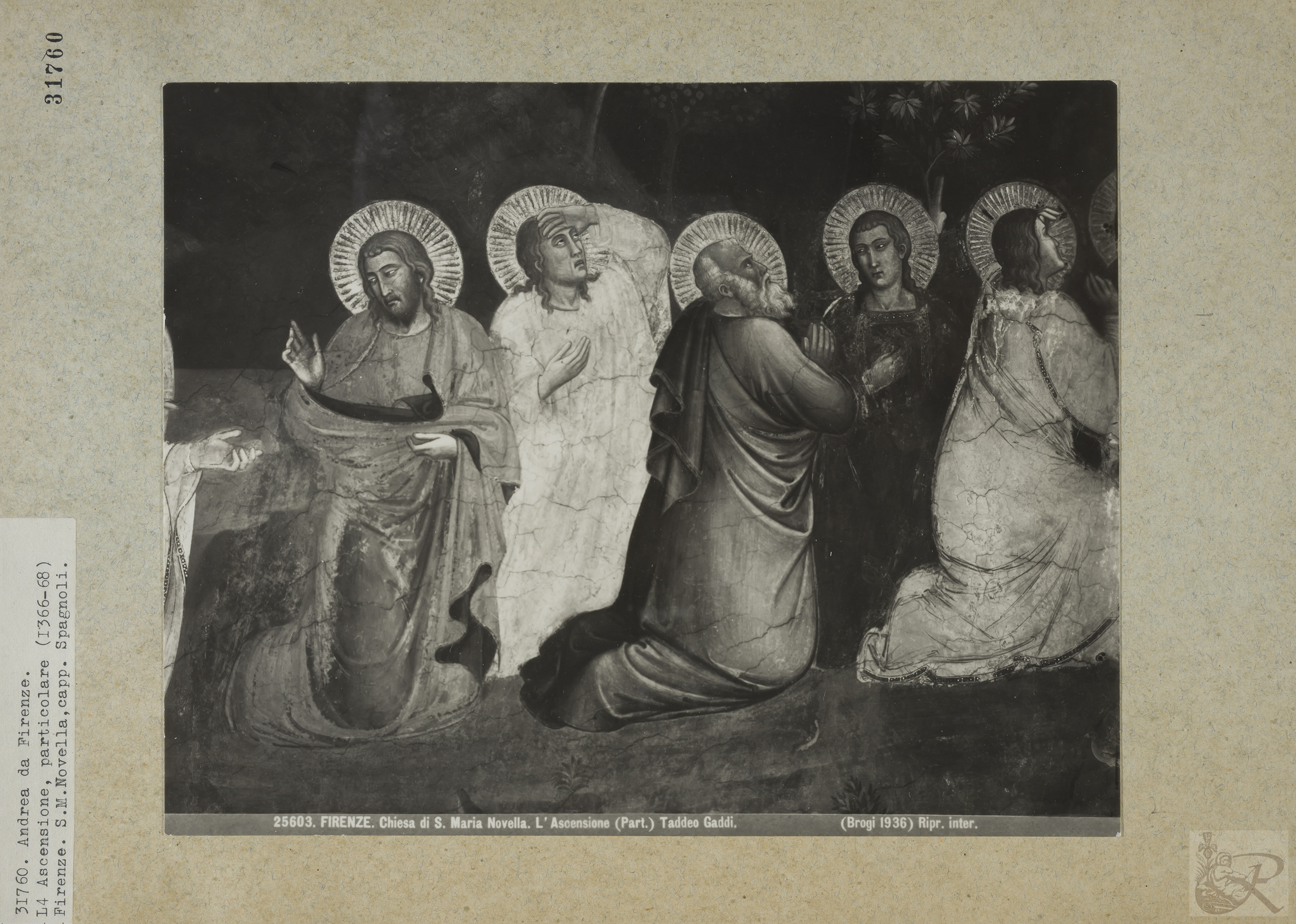 Immagine di anteprima