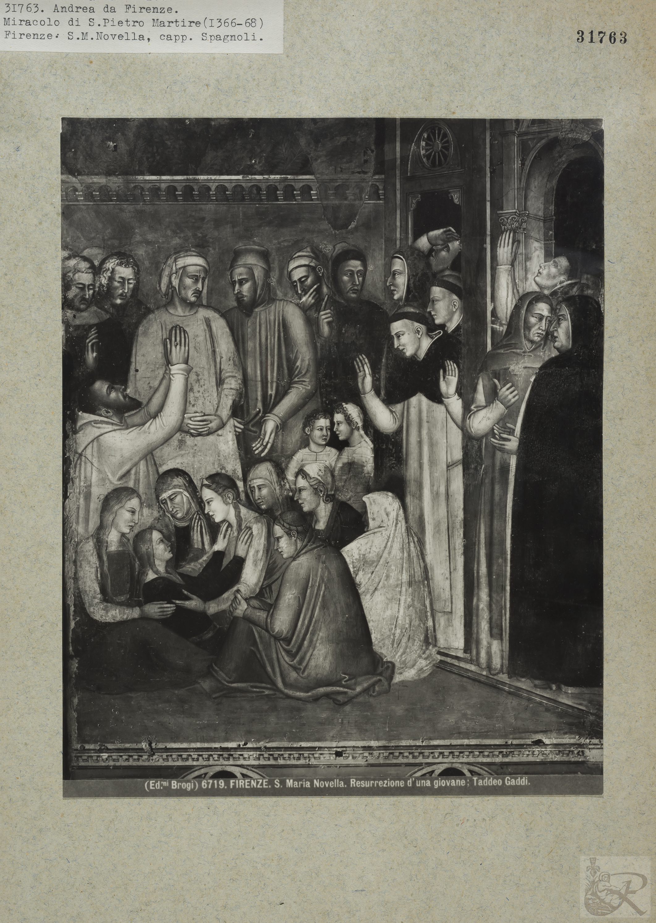 Immagine di anteprima