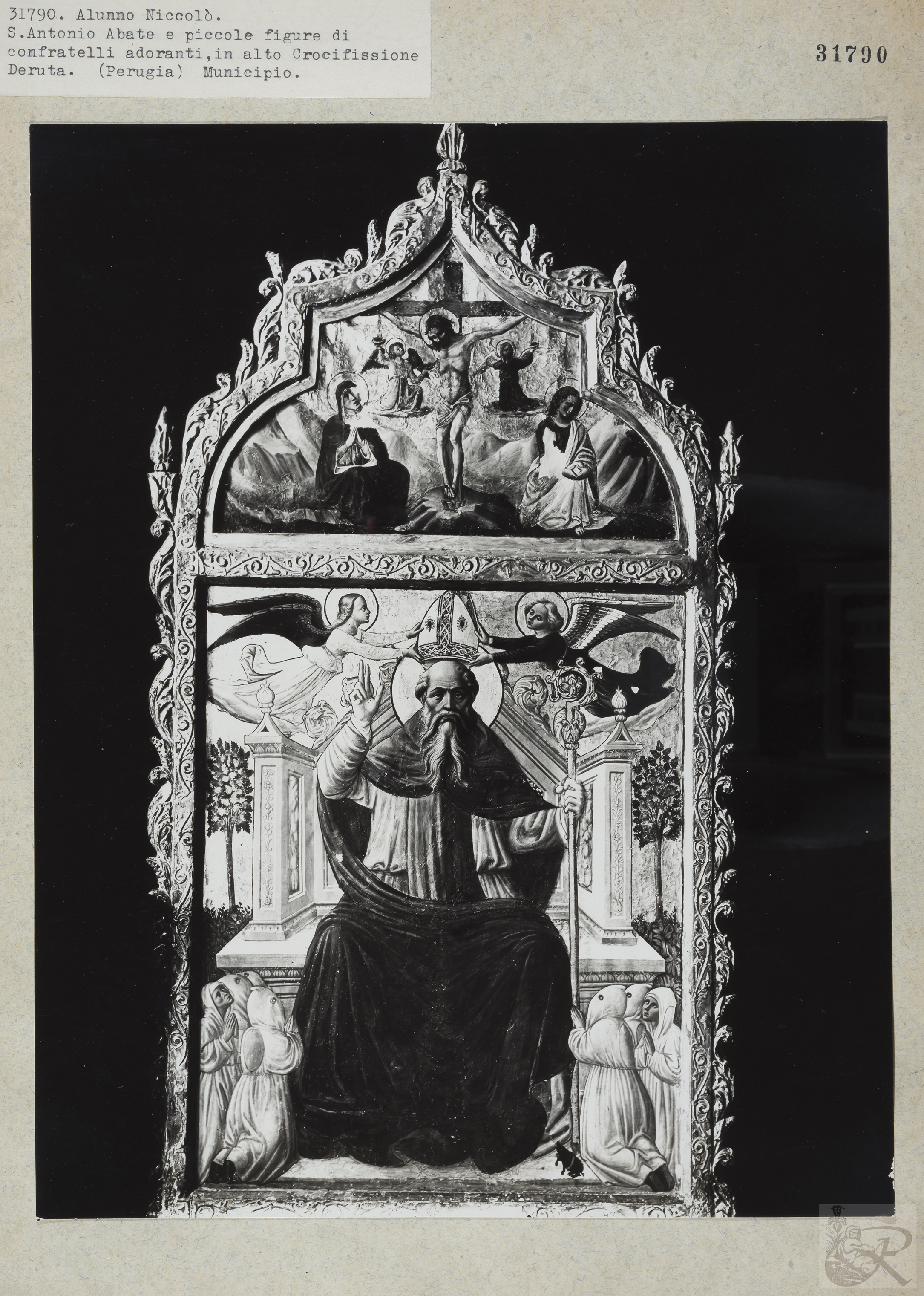 Immagine di anteprima