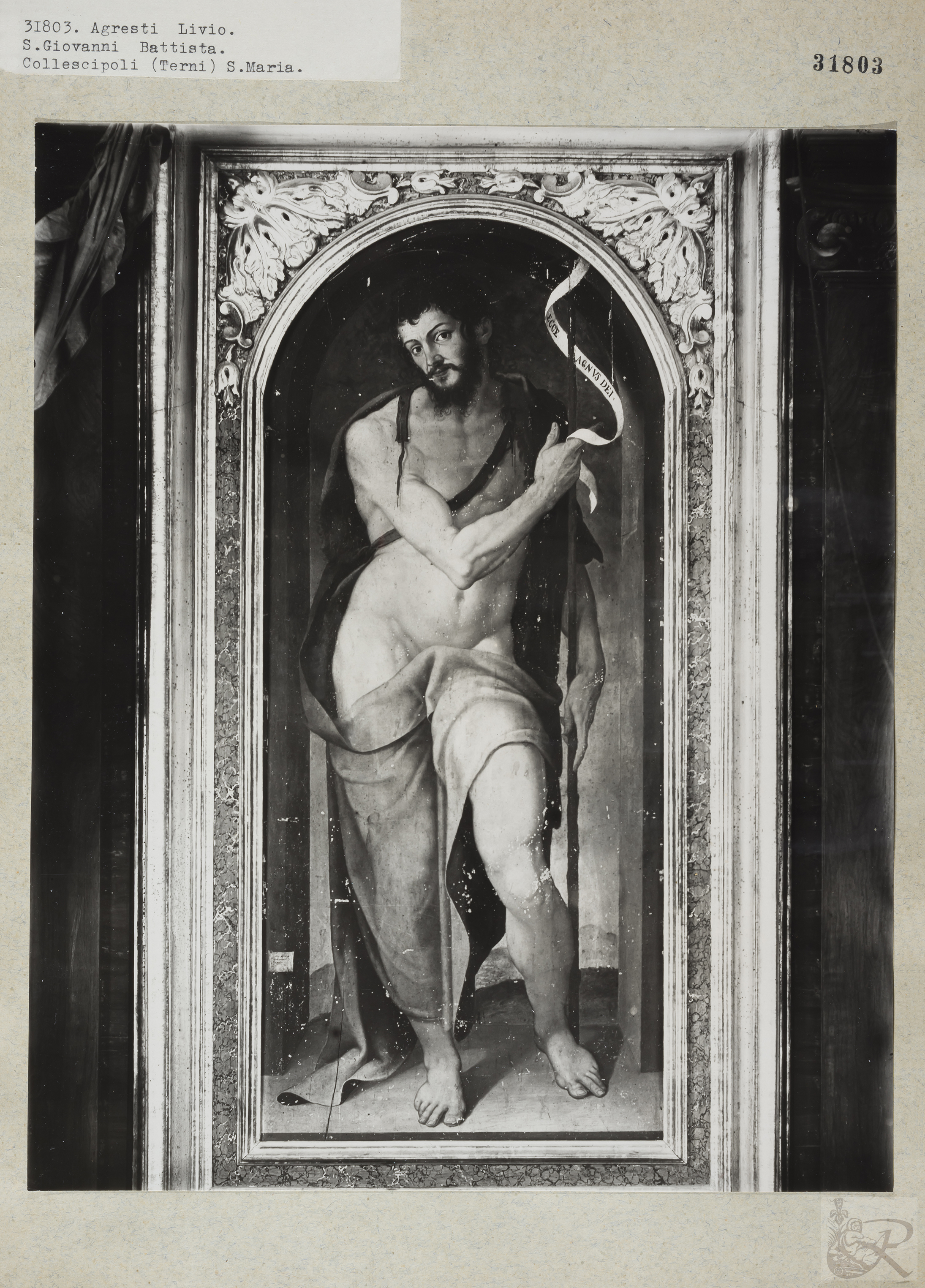 Immagine di anteprima