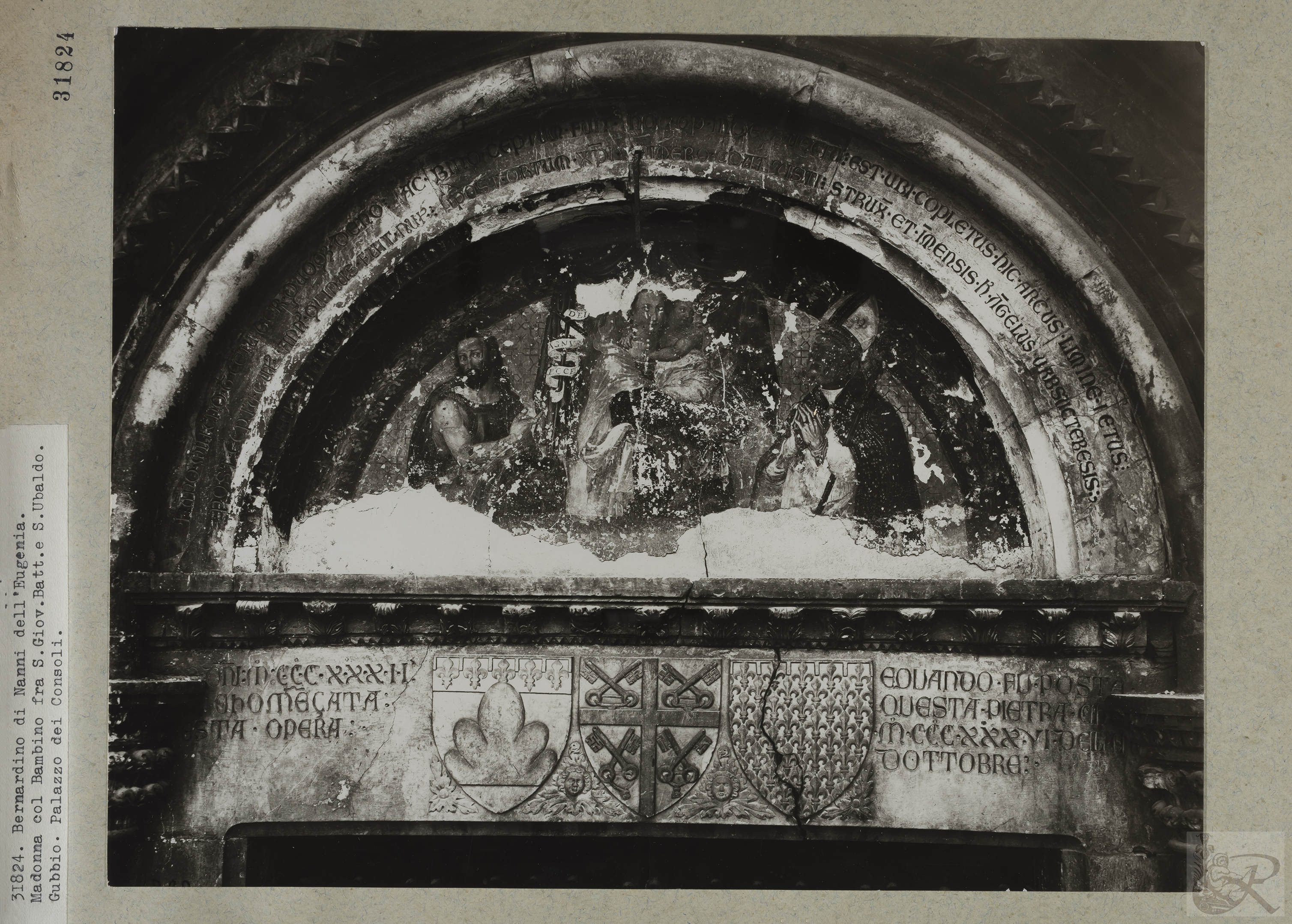 Immagine di anteprima