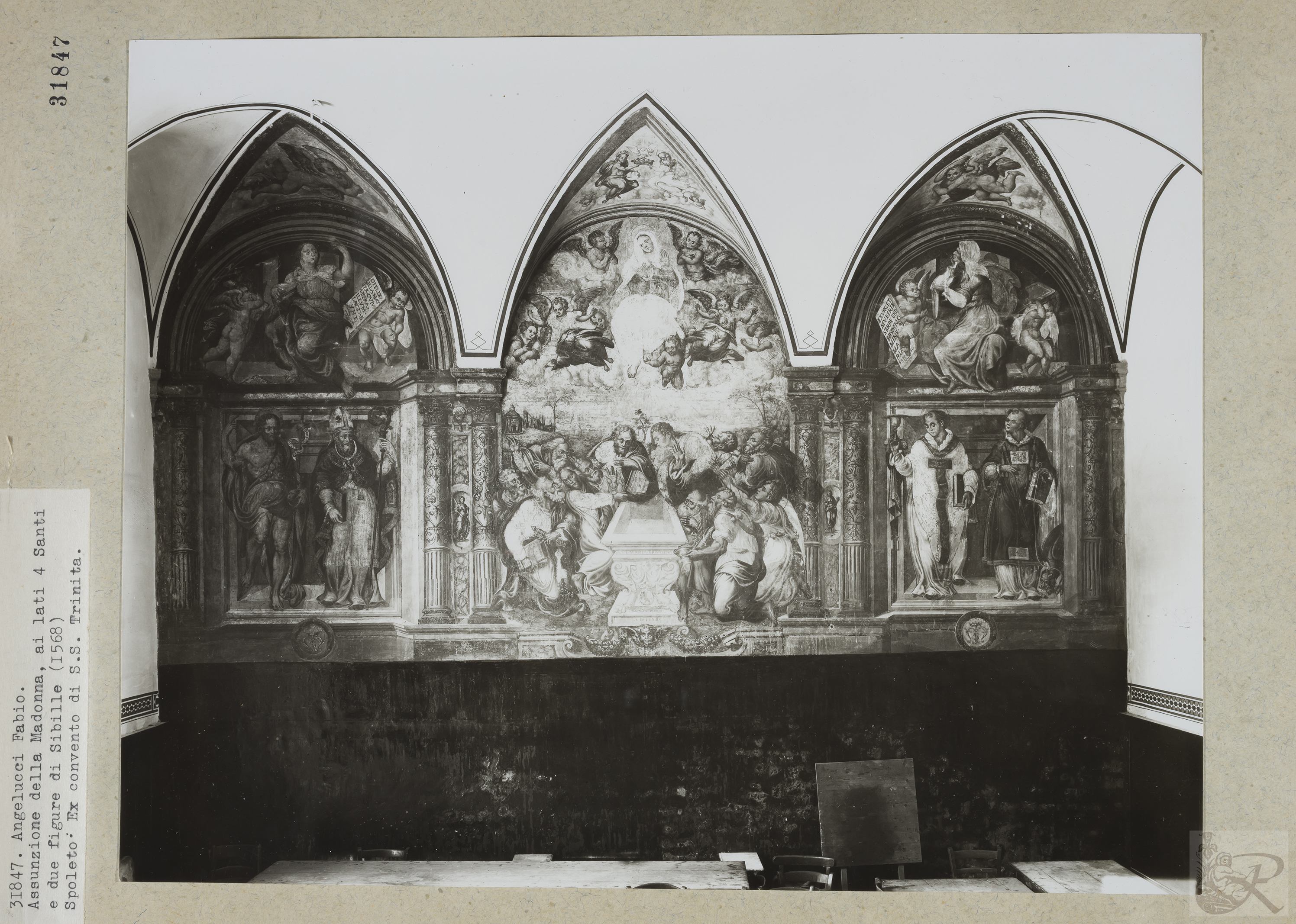 Immagine di anteprima