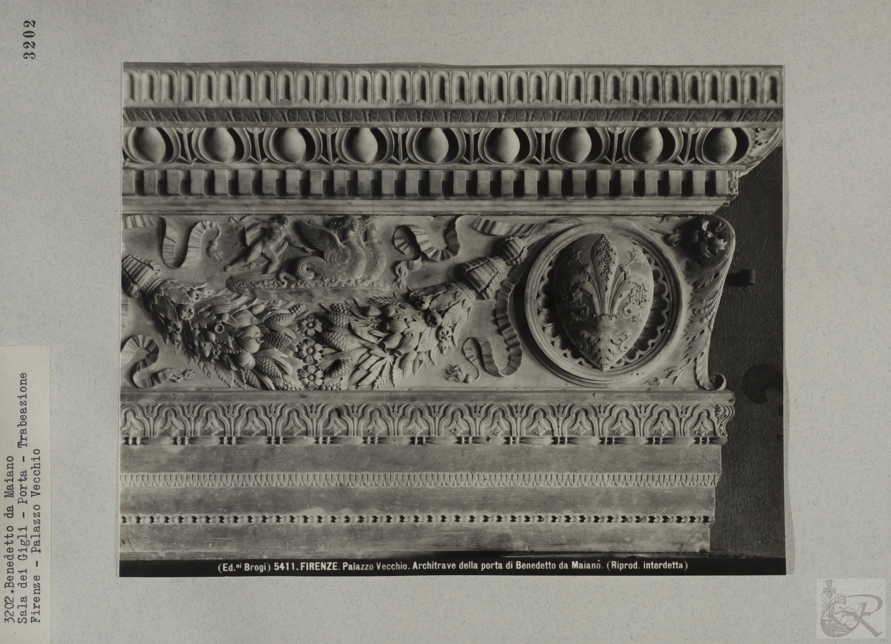 Immagine di anteprima