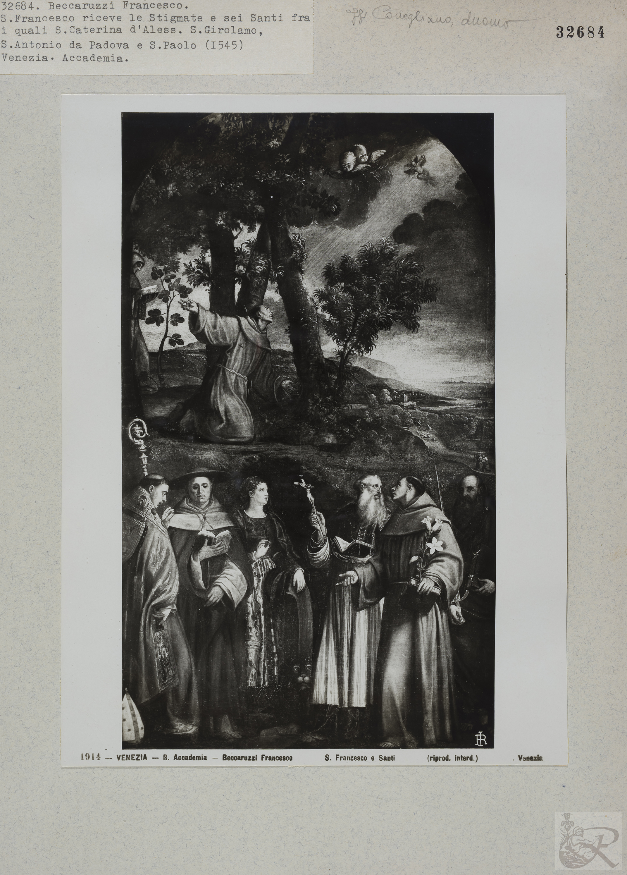 Immagine di anteprima