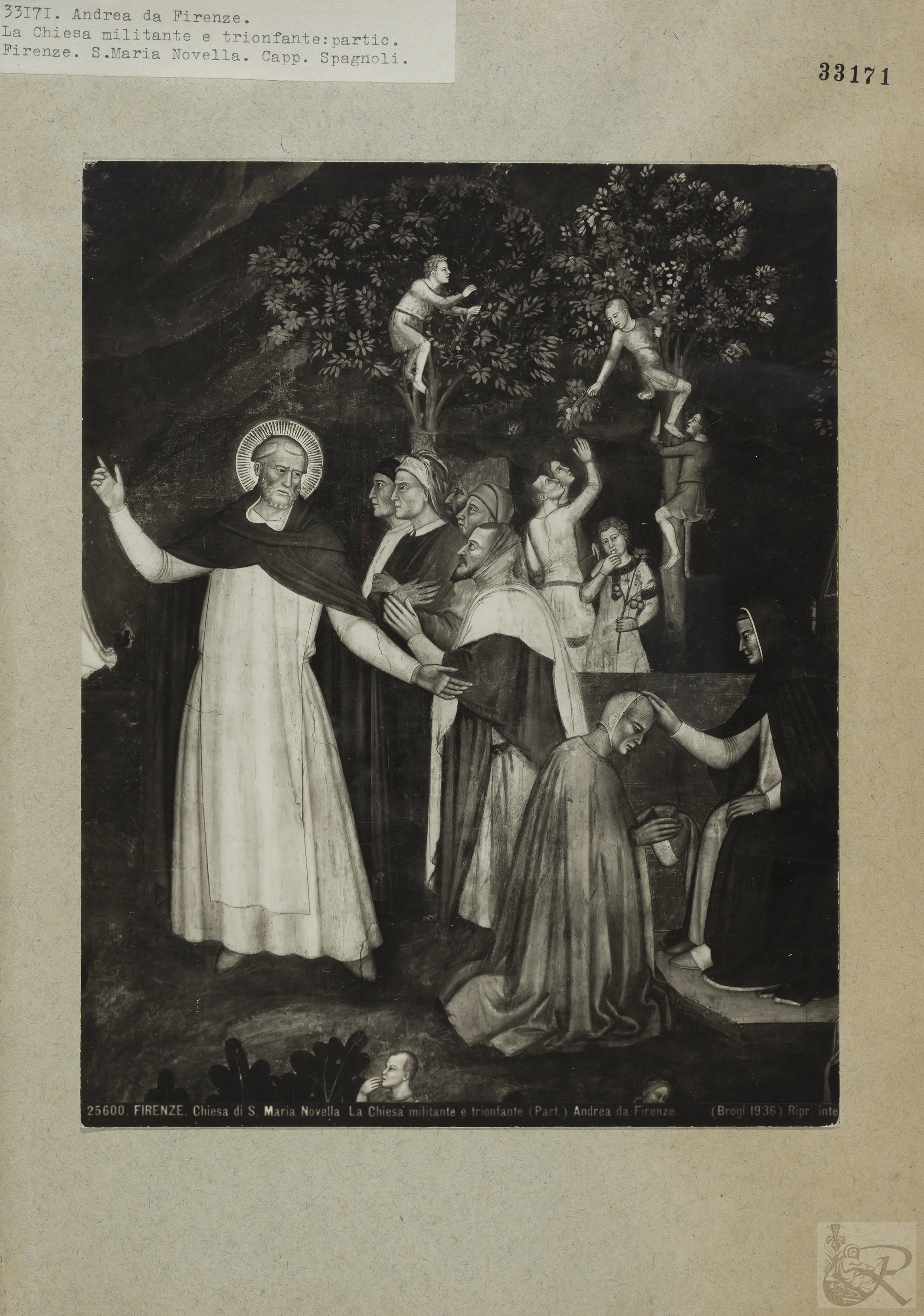 Immagine di anteprima