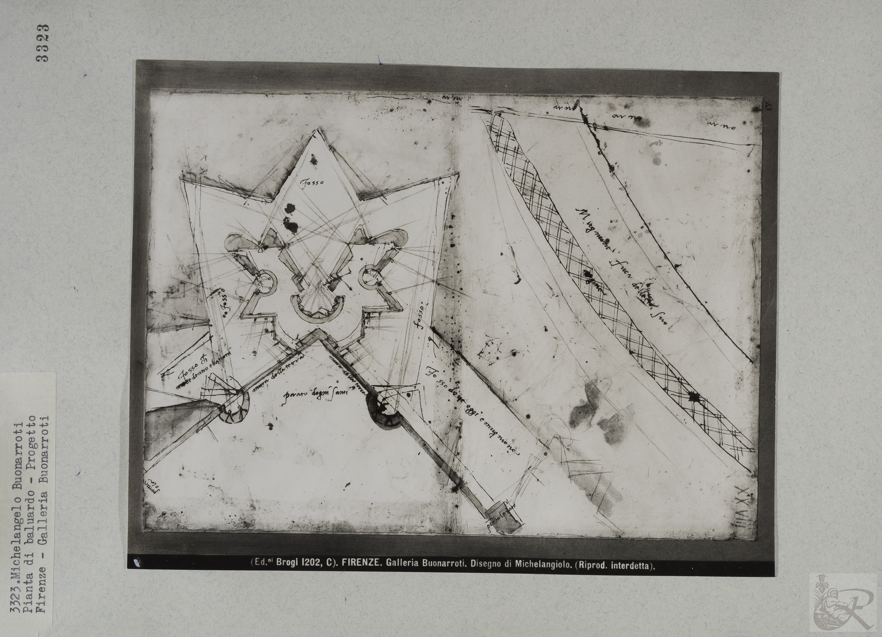 Immagine di anteprima