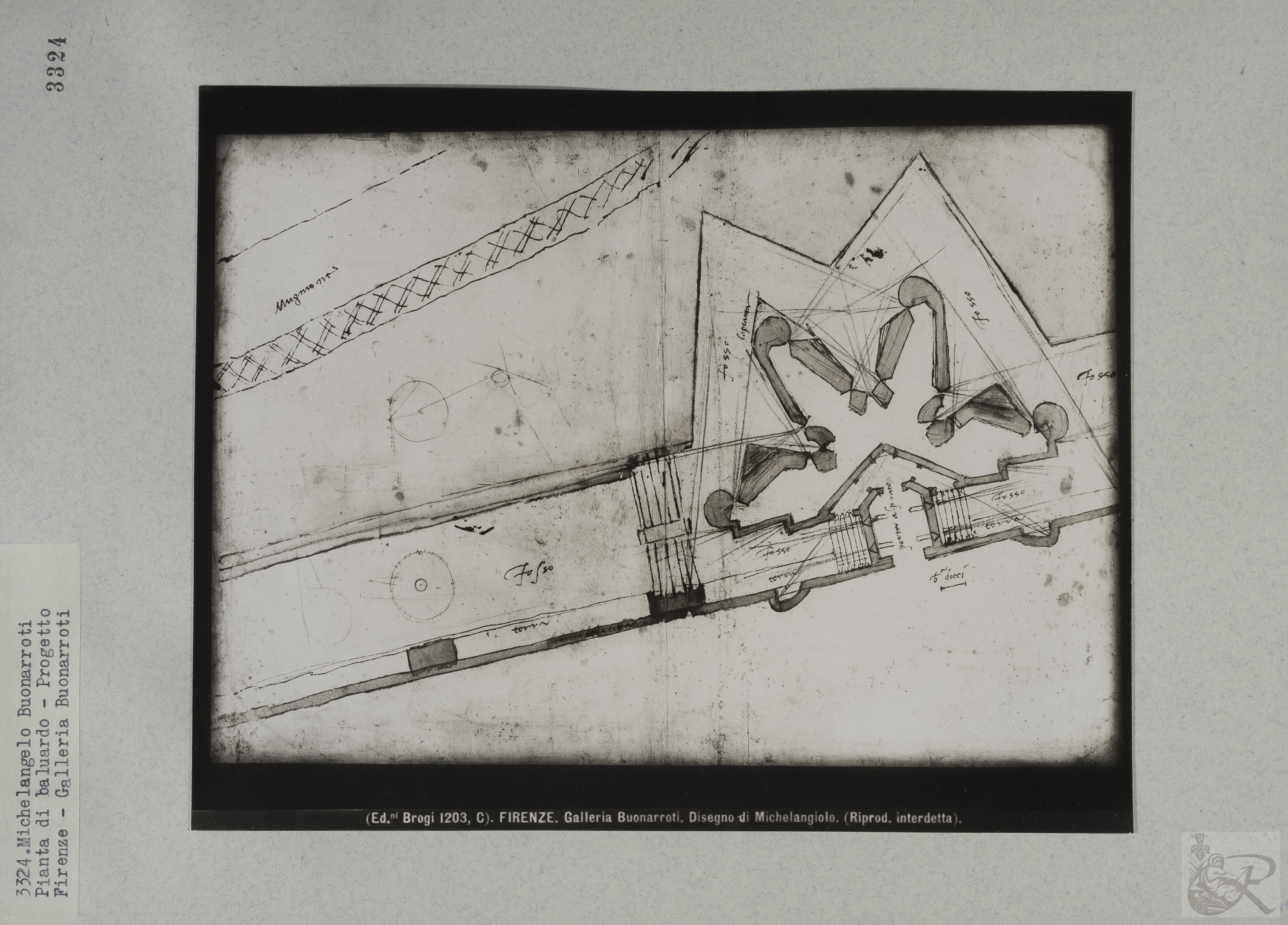 Immagine di anteprima