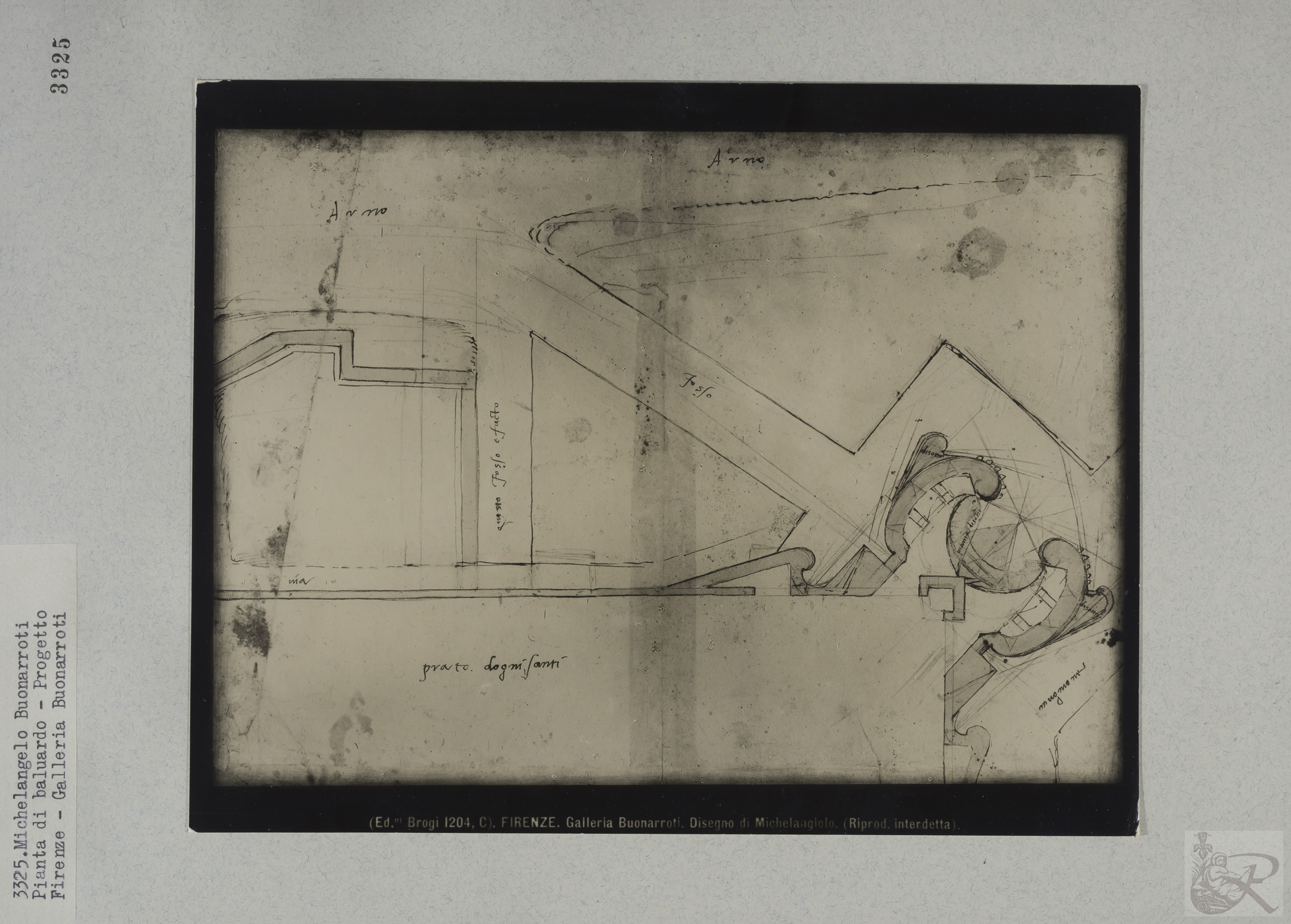 Immagine di anteprima