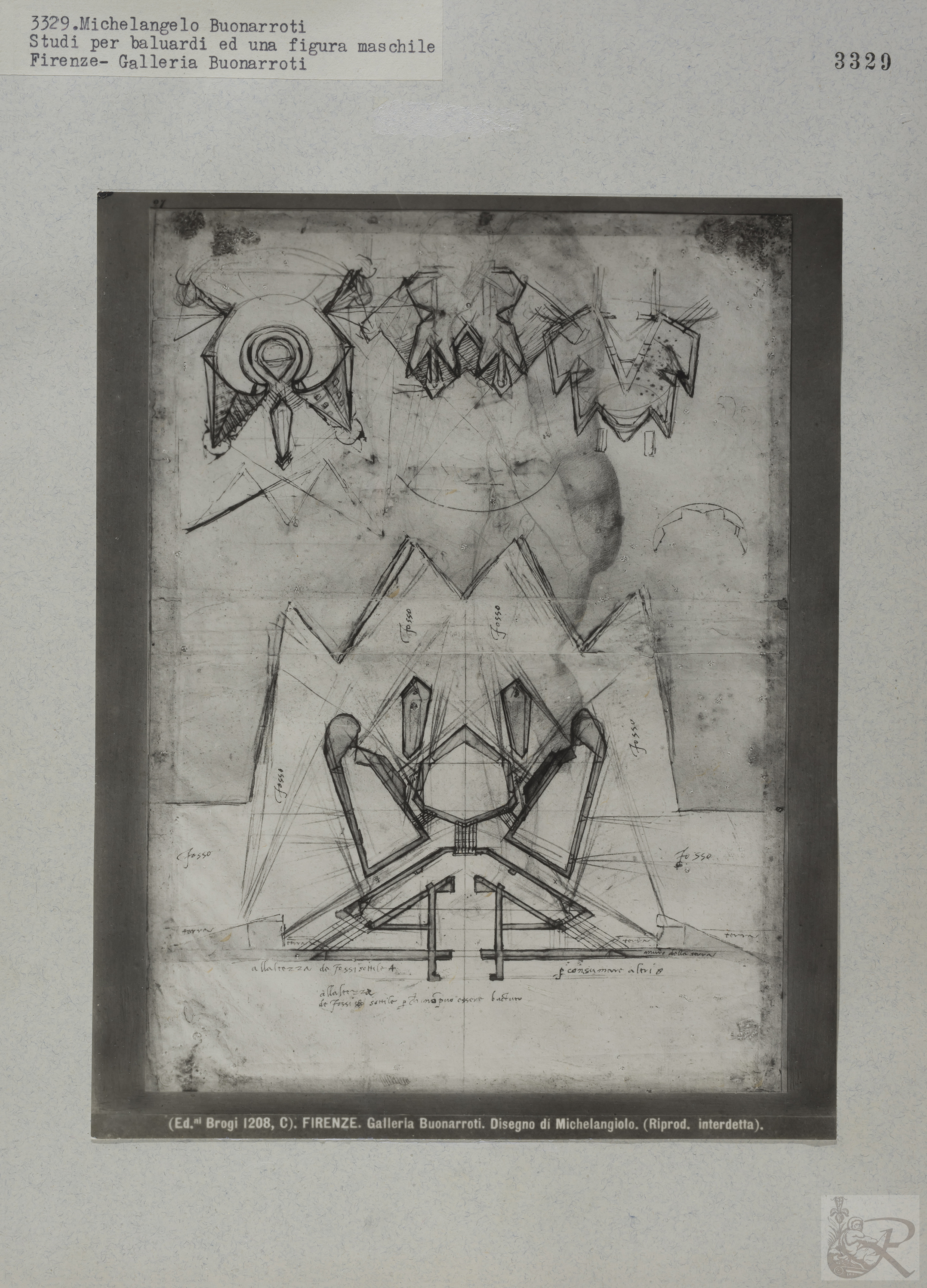 Immagine di anteprima