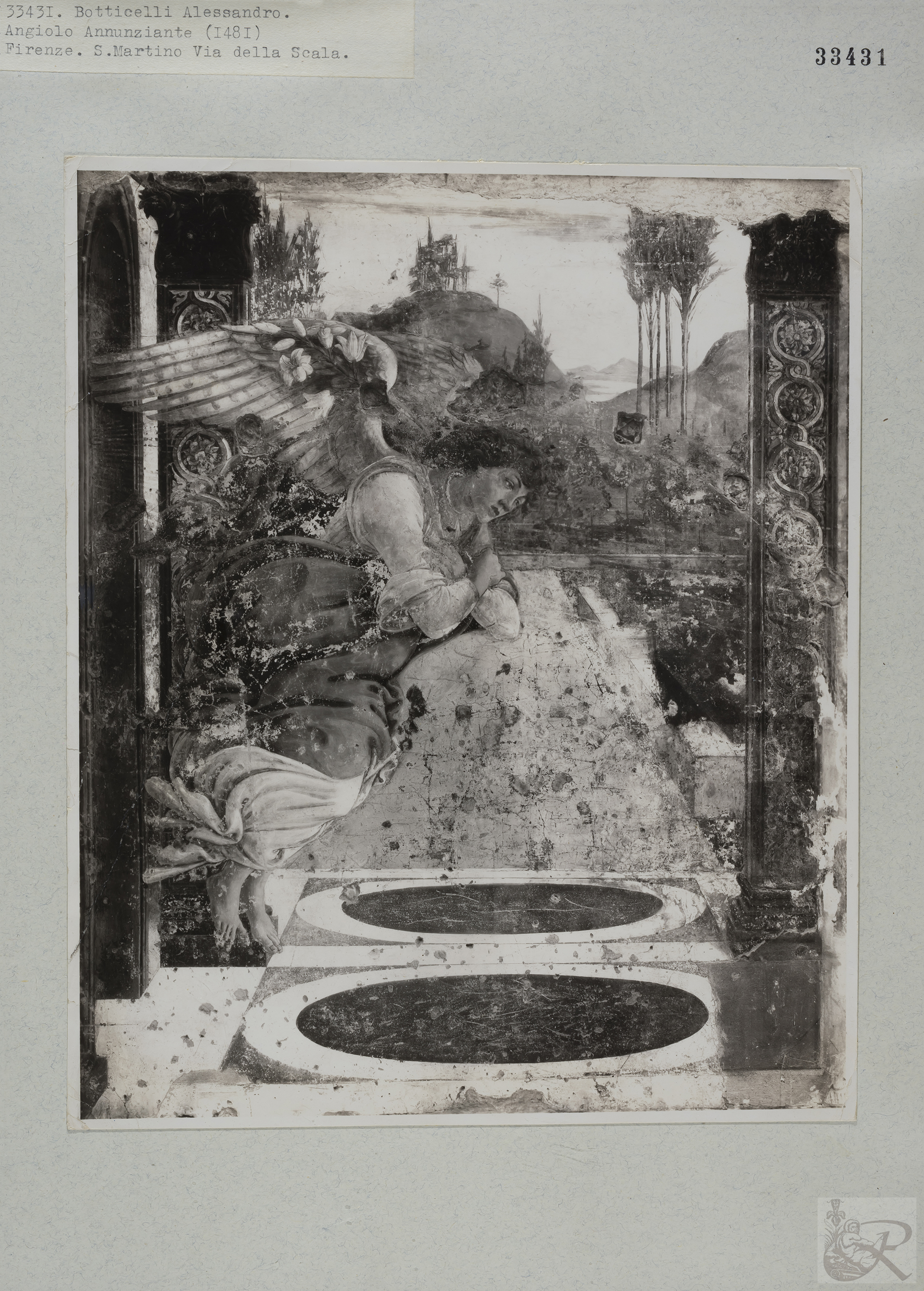 Immagine di anteprima