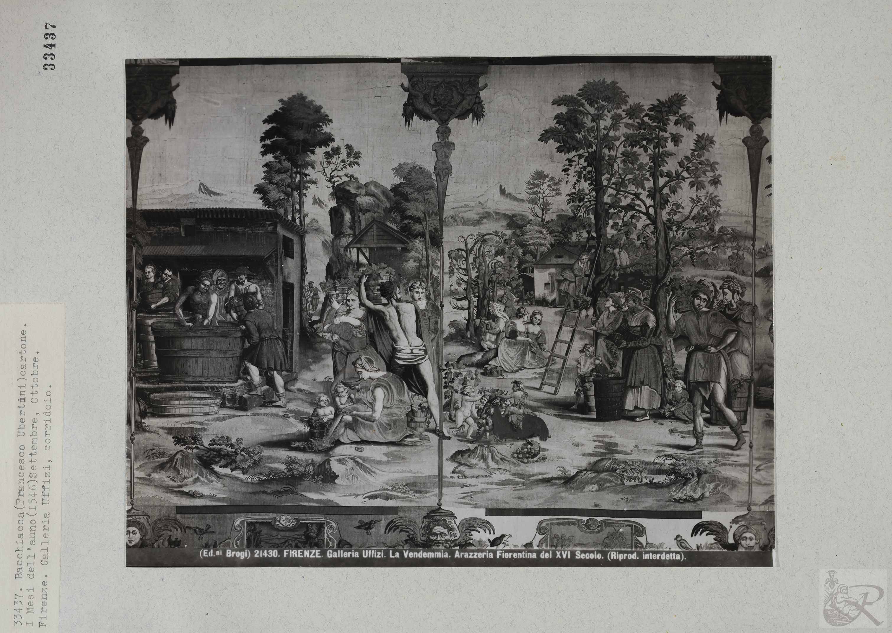 Immagine di anteprima