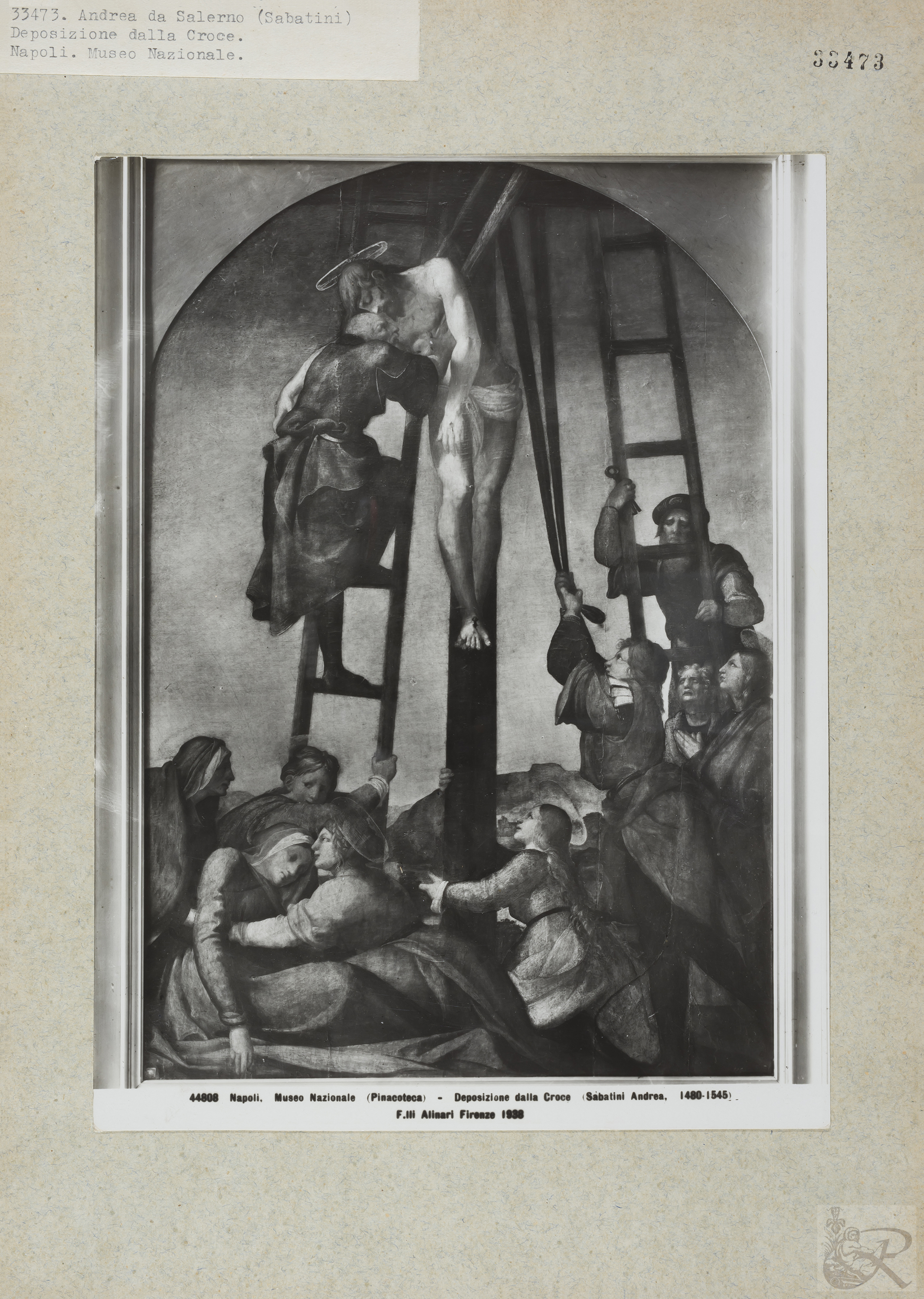 Immagine di anteprima