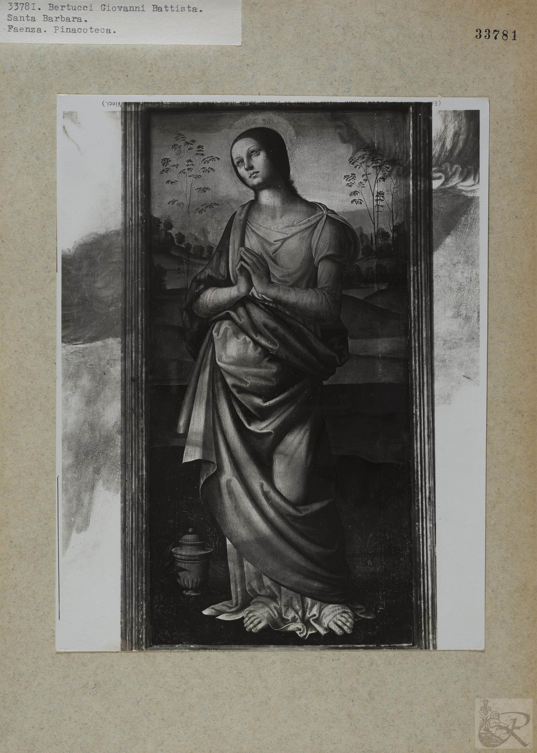 Immagine di anteprima