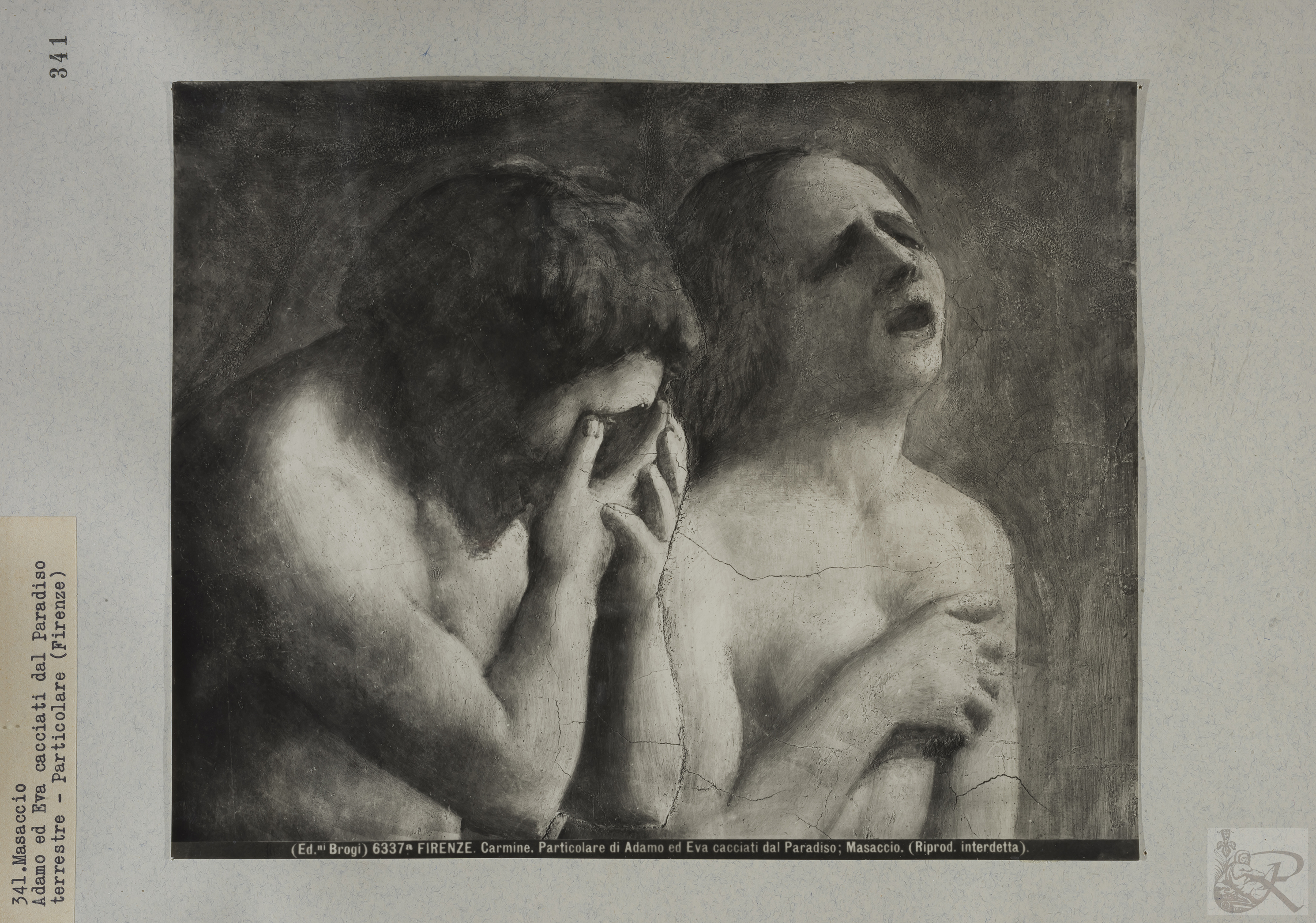 Immagine di anteprima