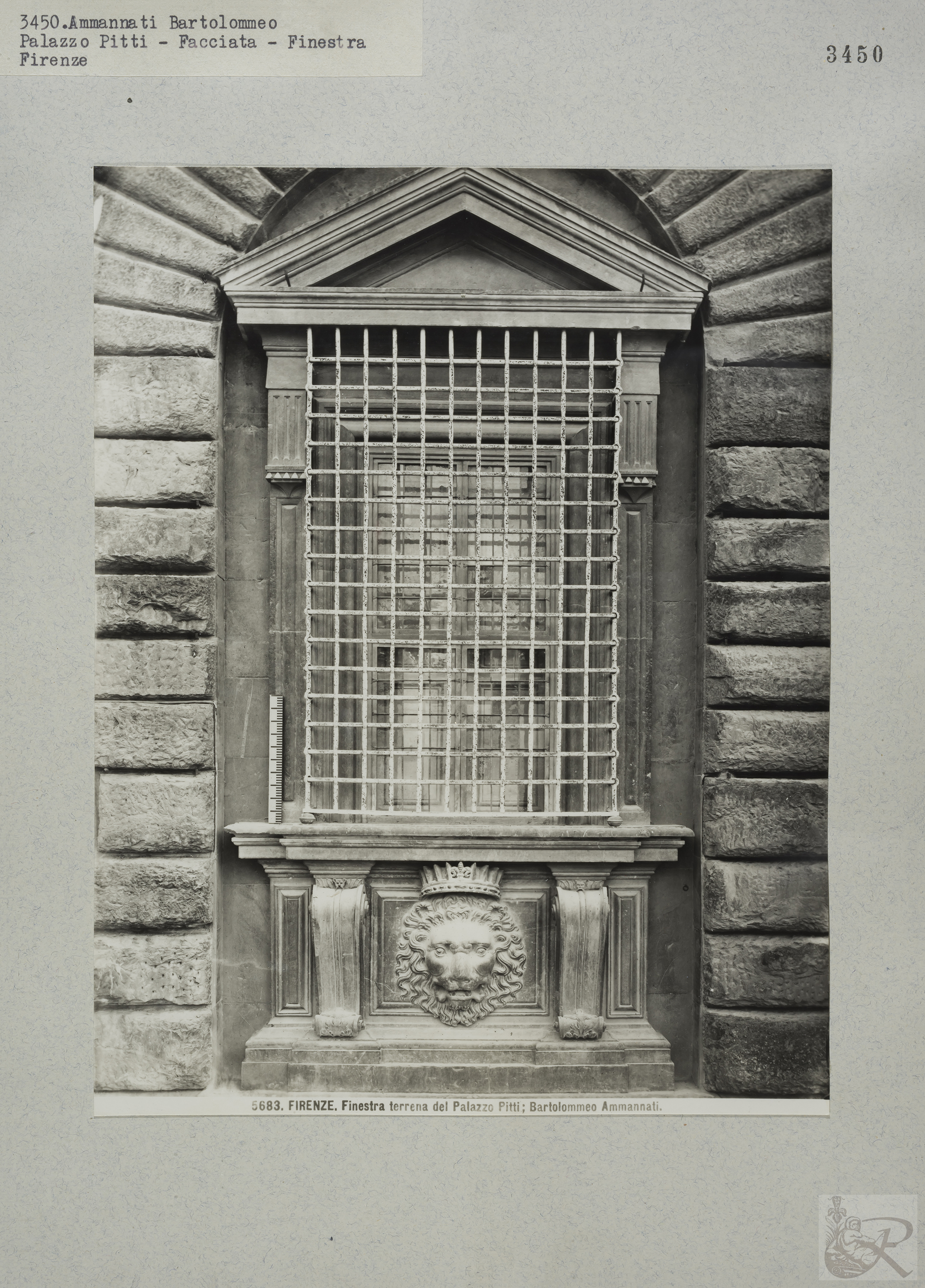 Immagine di anteprima