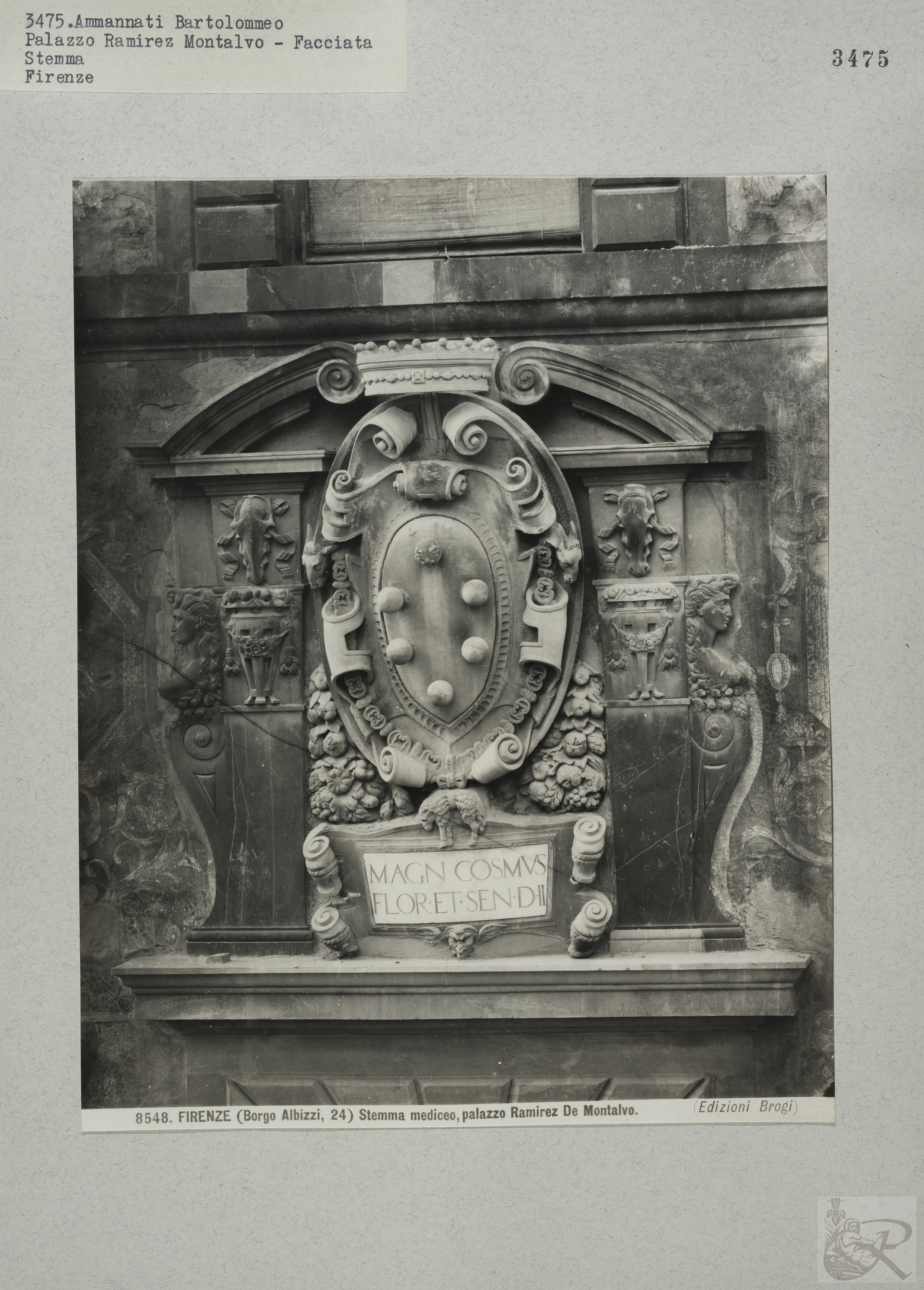 Immagine di anteprima