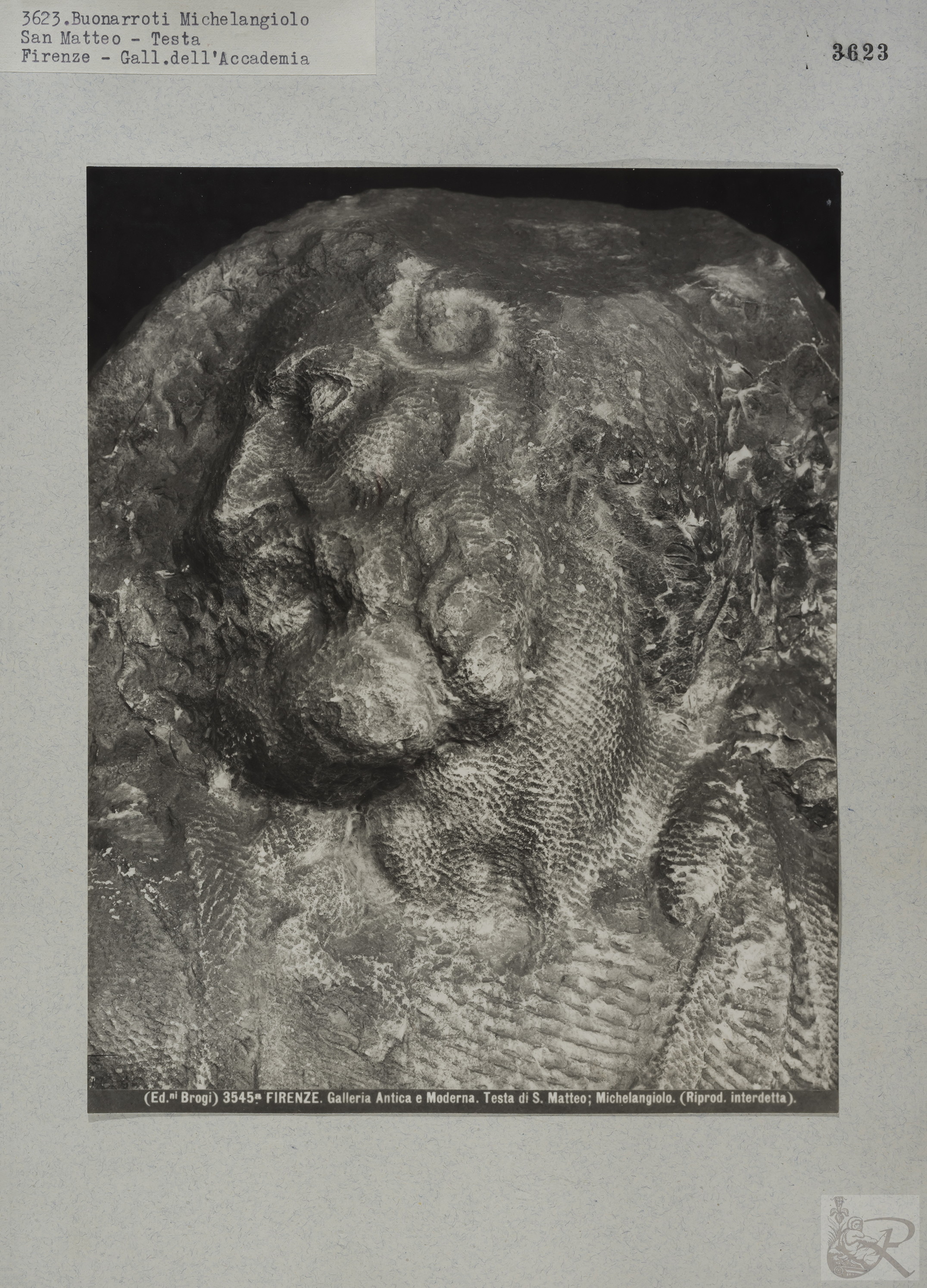 Immagine di anteprima