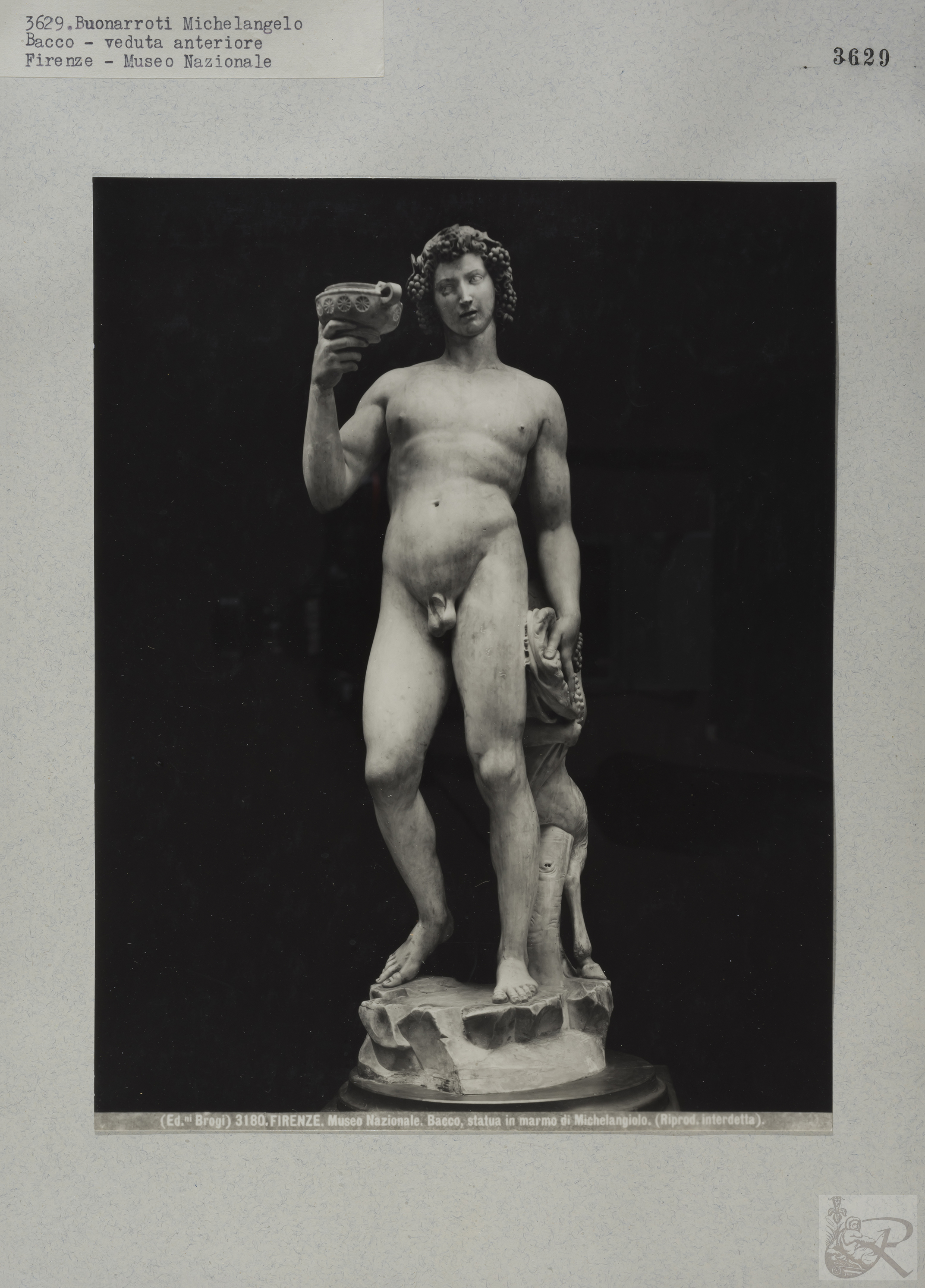 Immagine di anteprima