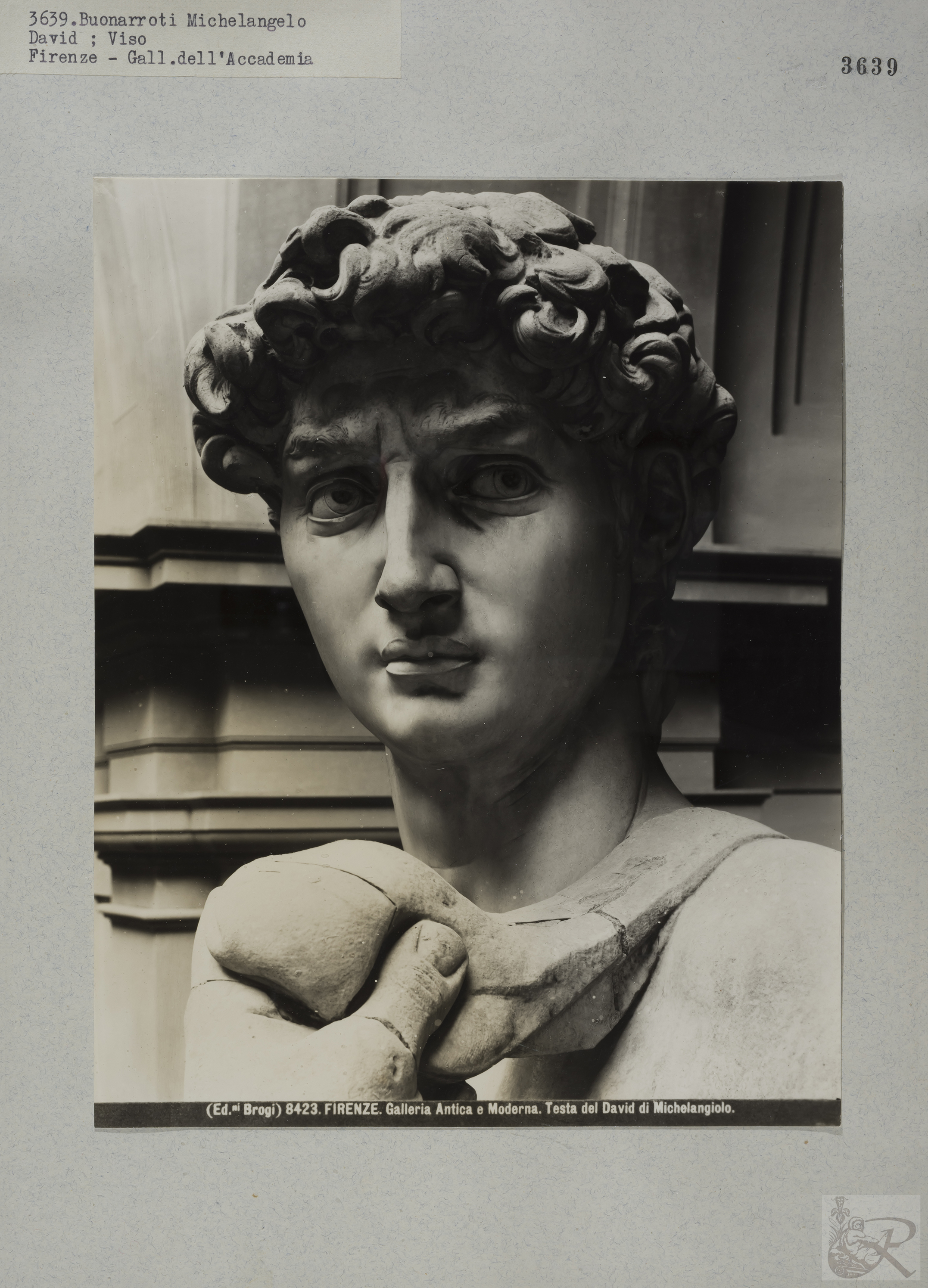 Immagine di anteprima