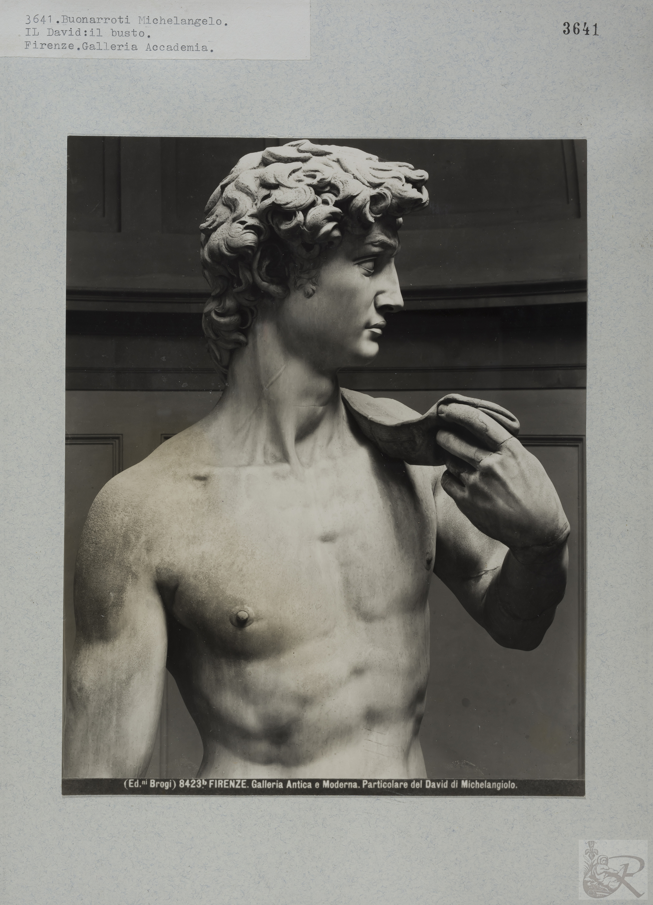 Immagine di anteprima