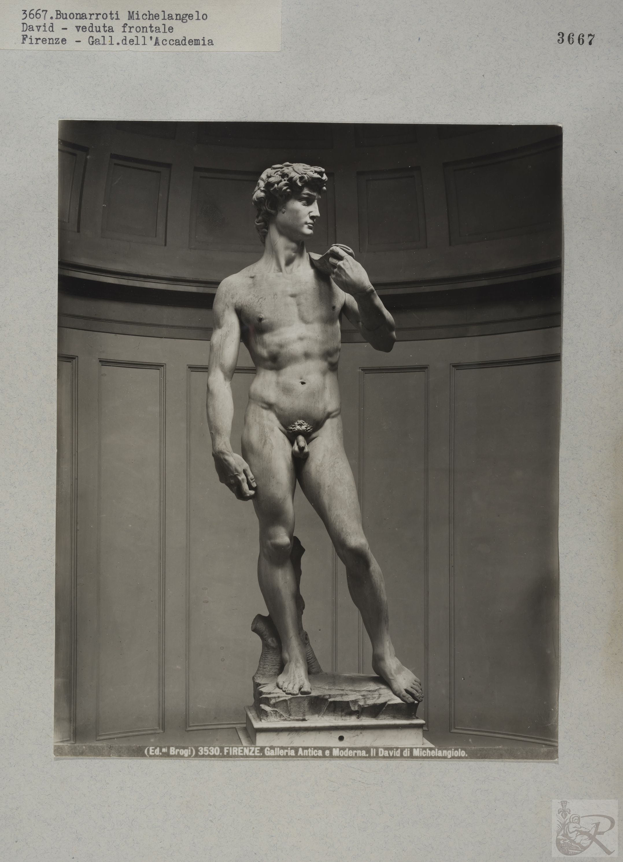 Immagine di anteprima