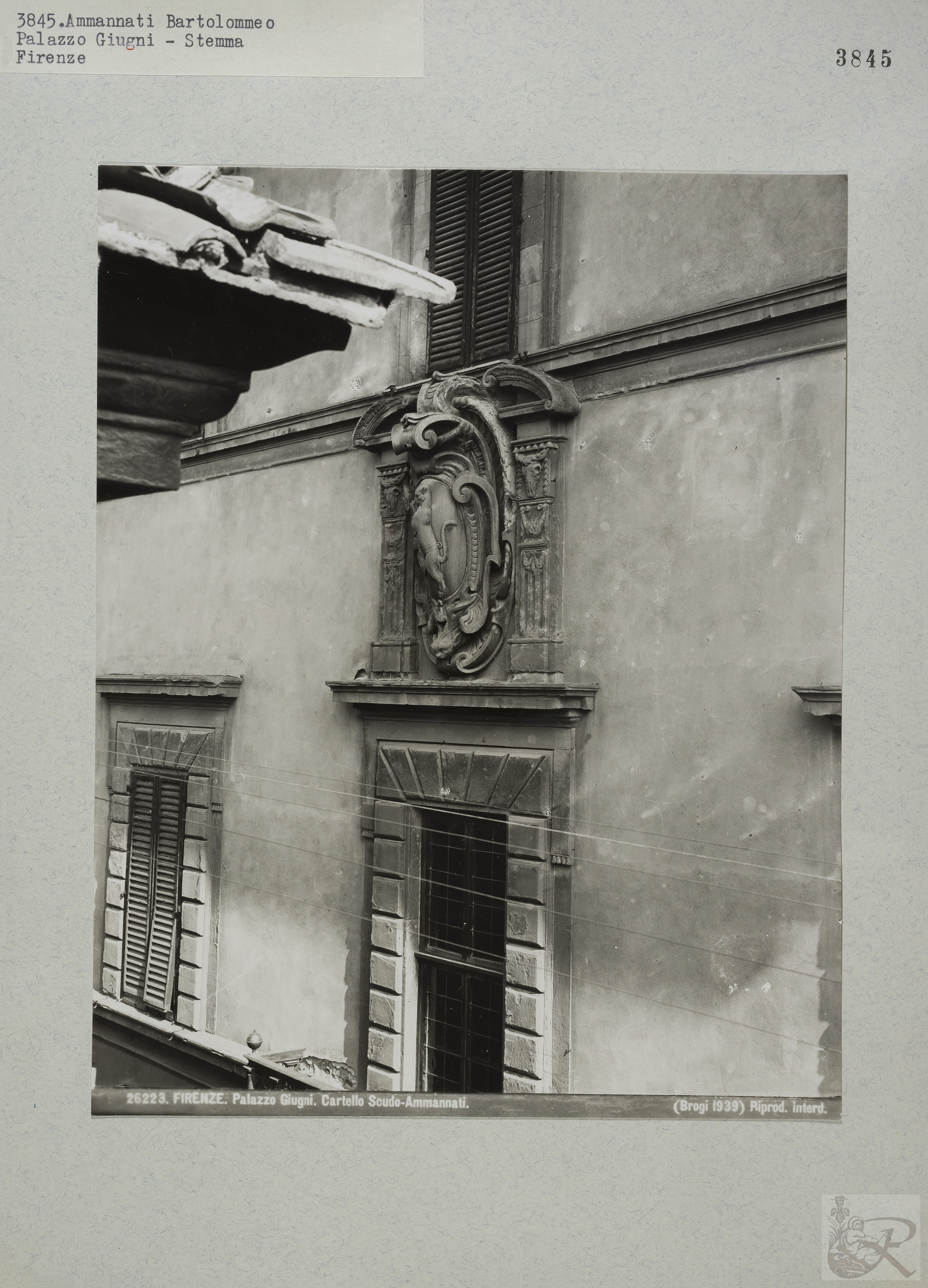 Immagine di anteprima