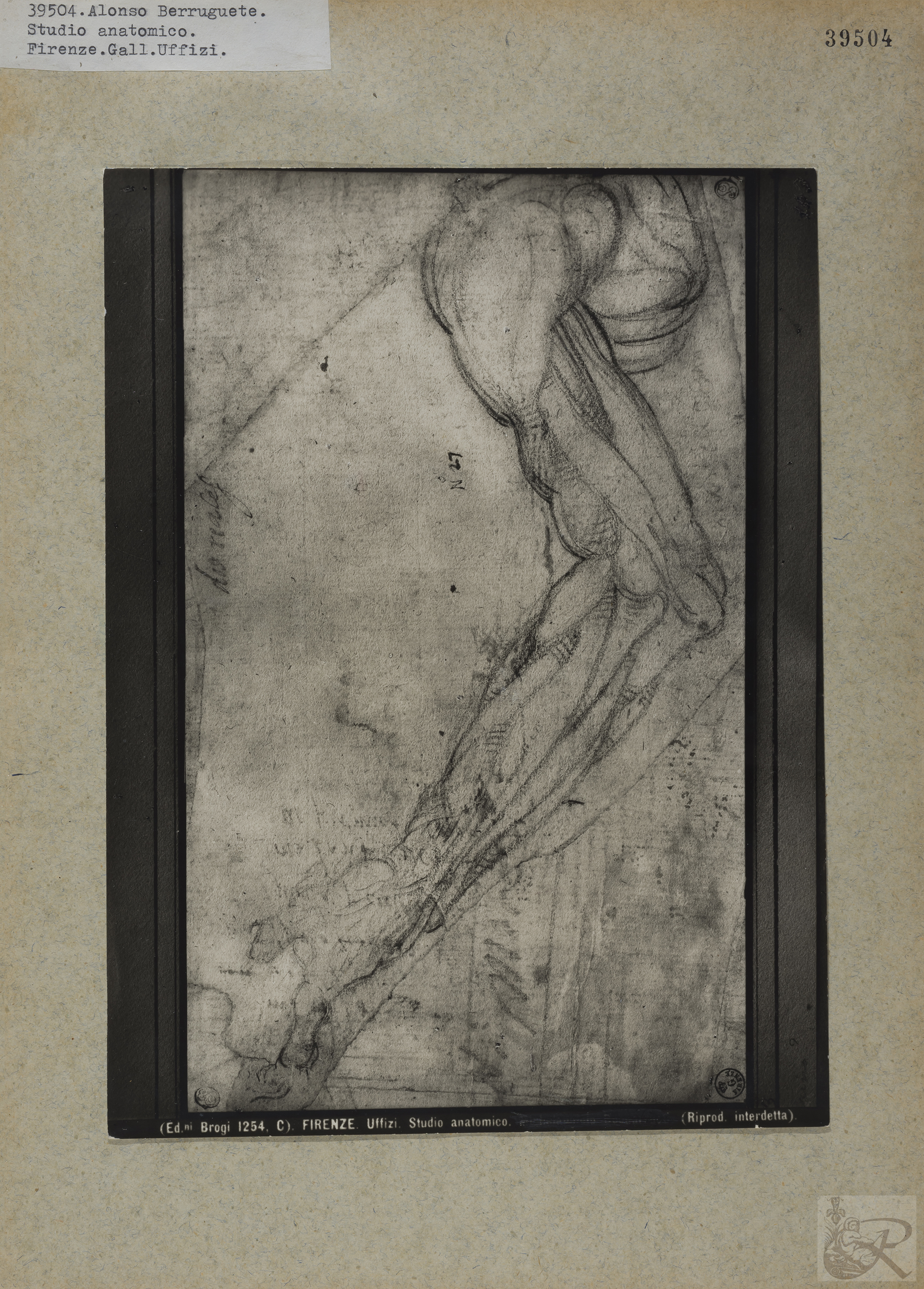 Immagine di anteprima