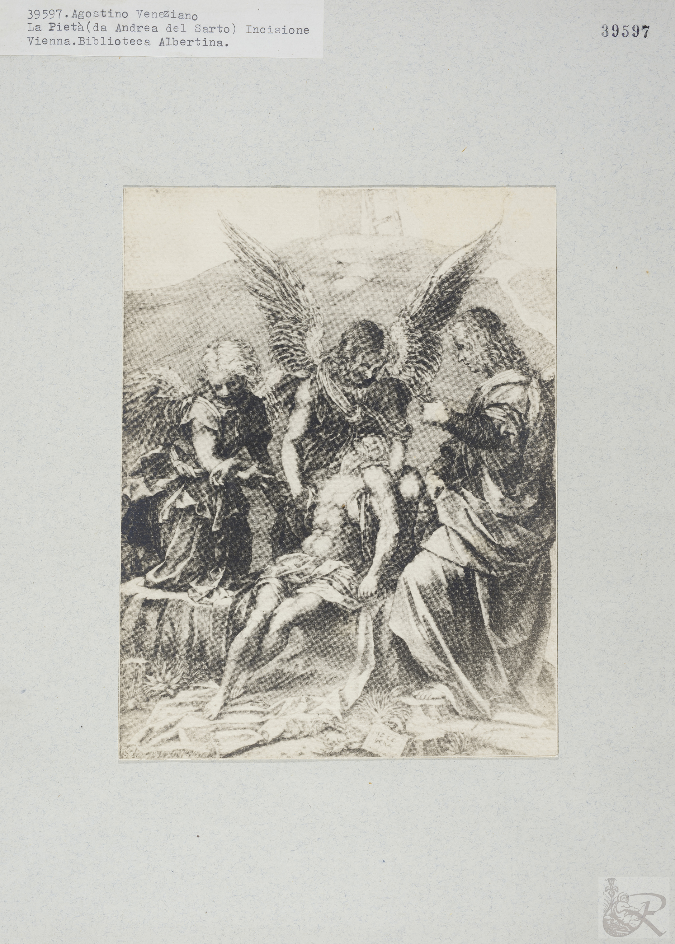 Immagine di anteprima