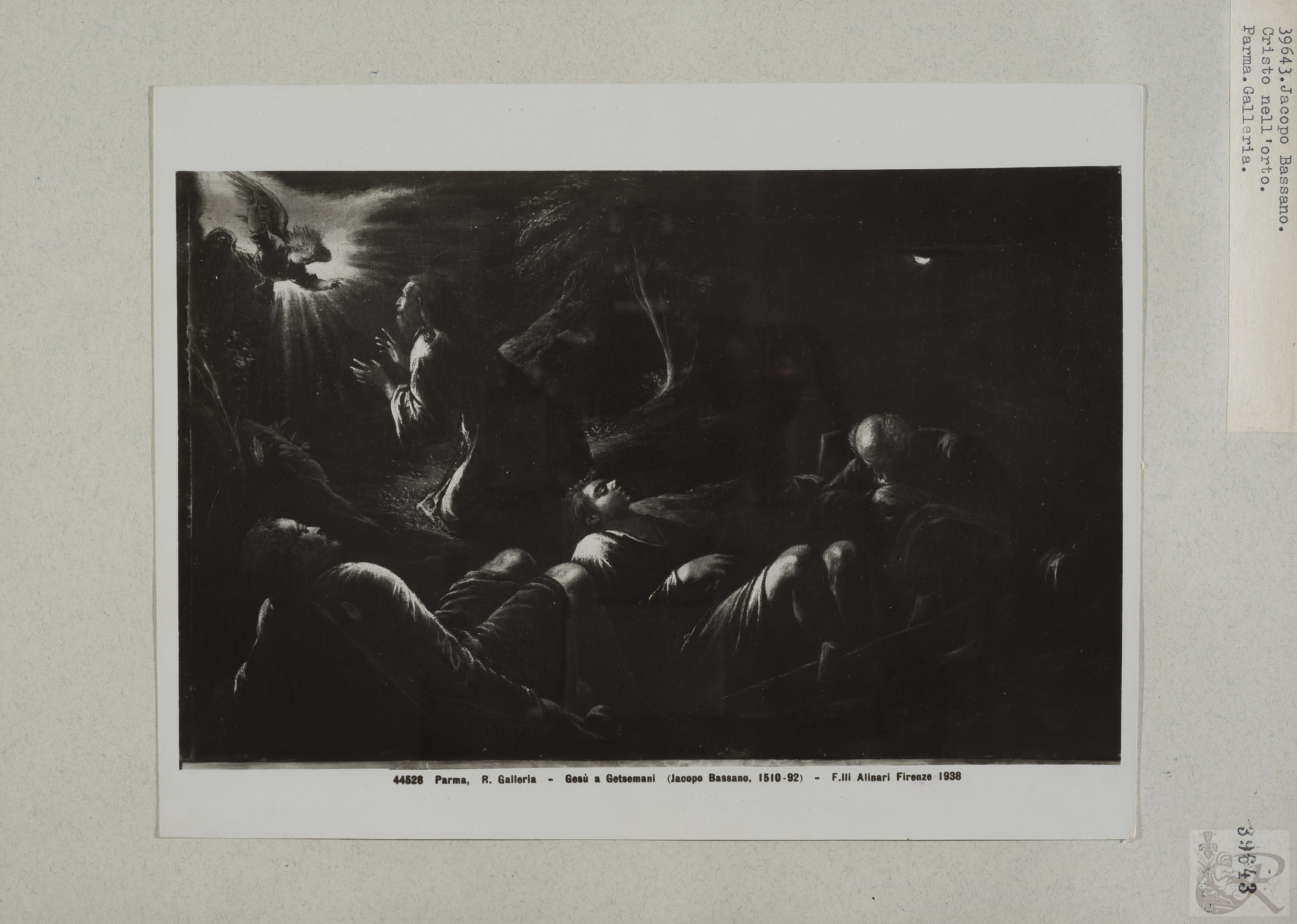 Immagine di anteprima