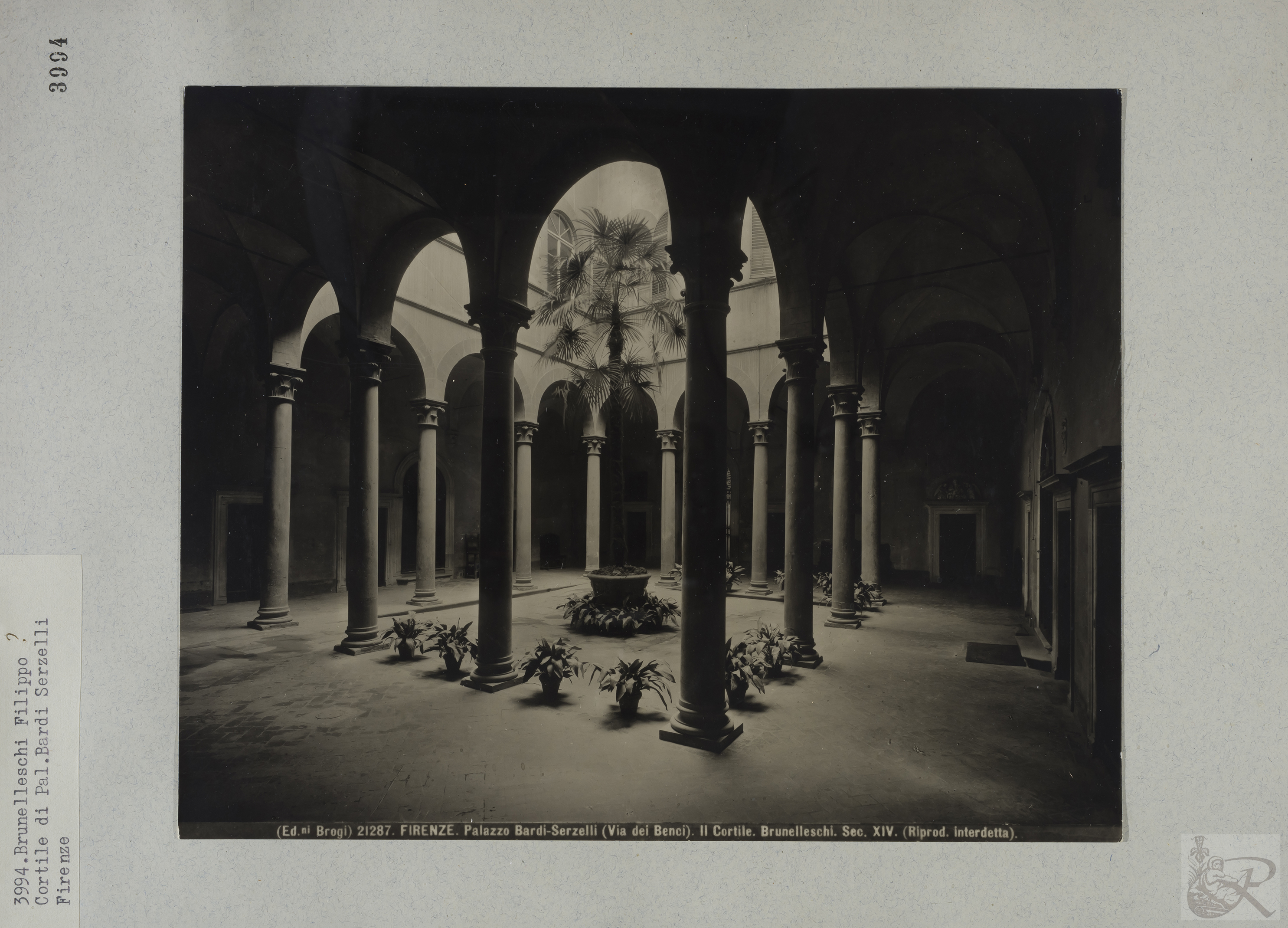 Immagine di anteprima