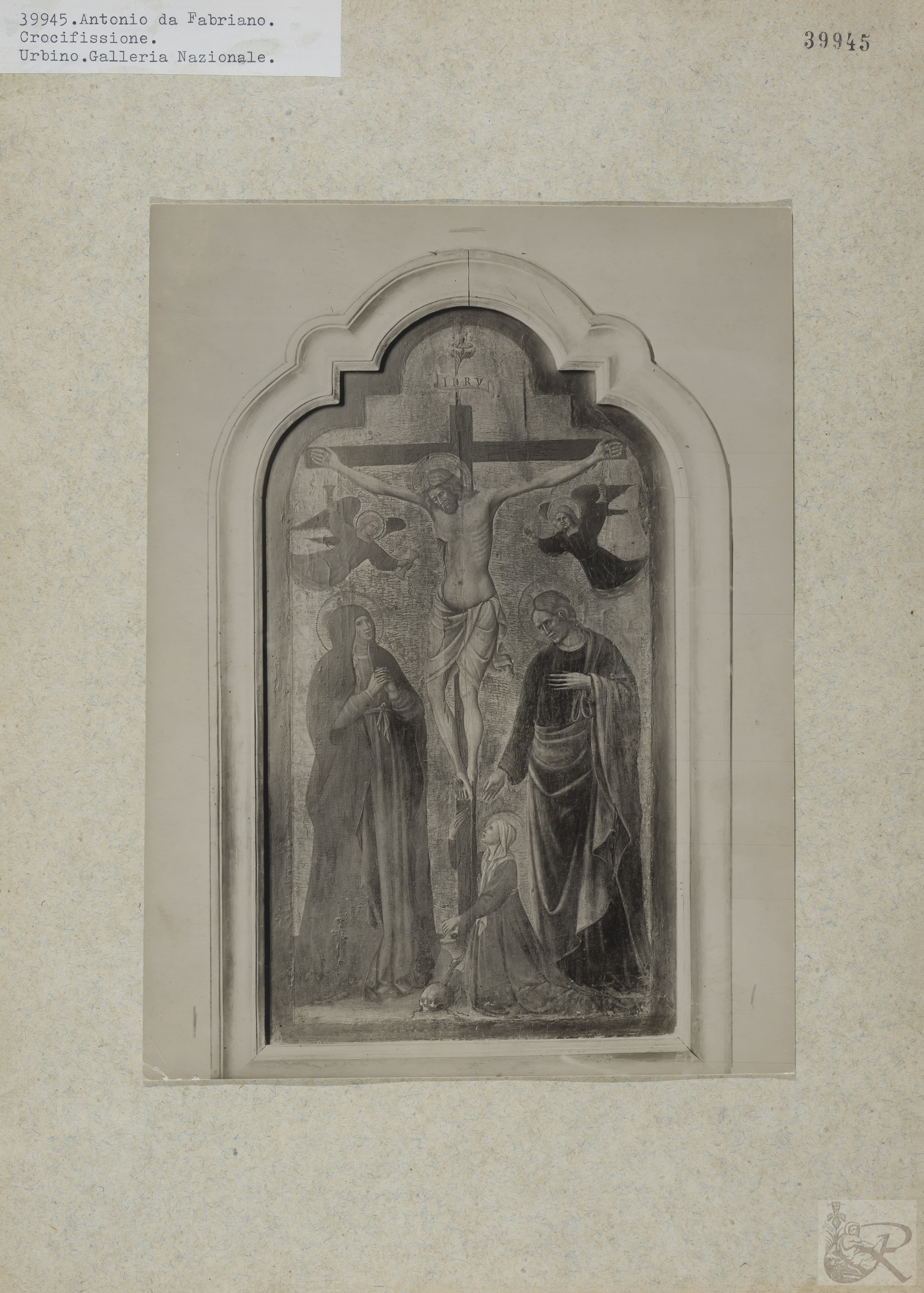 Immagine di anteprima