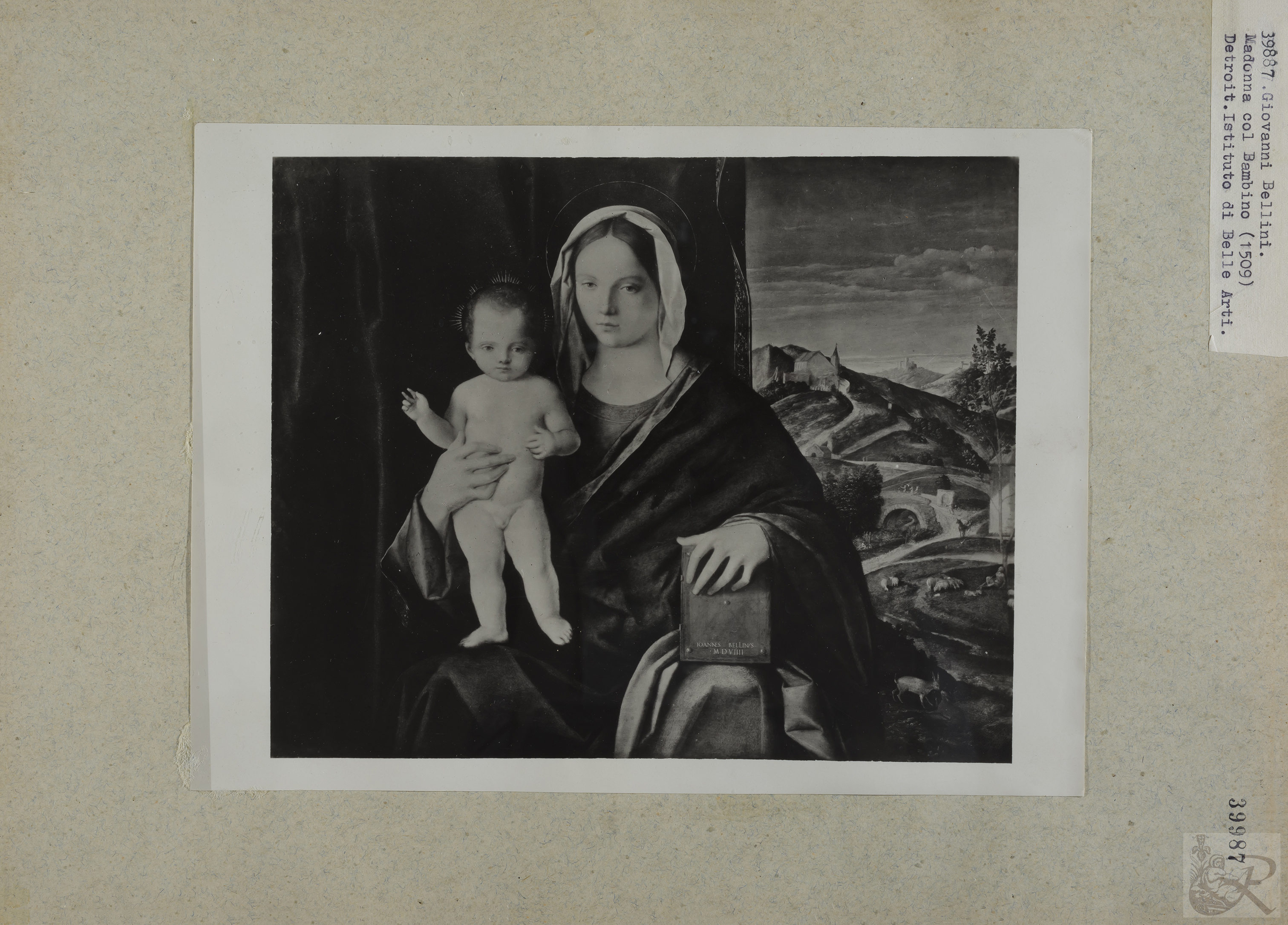 Immagine di anteprima