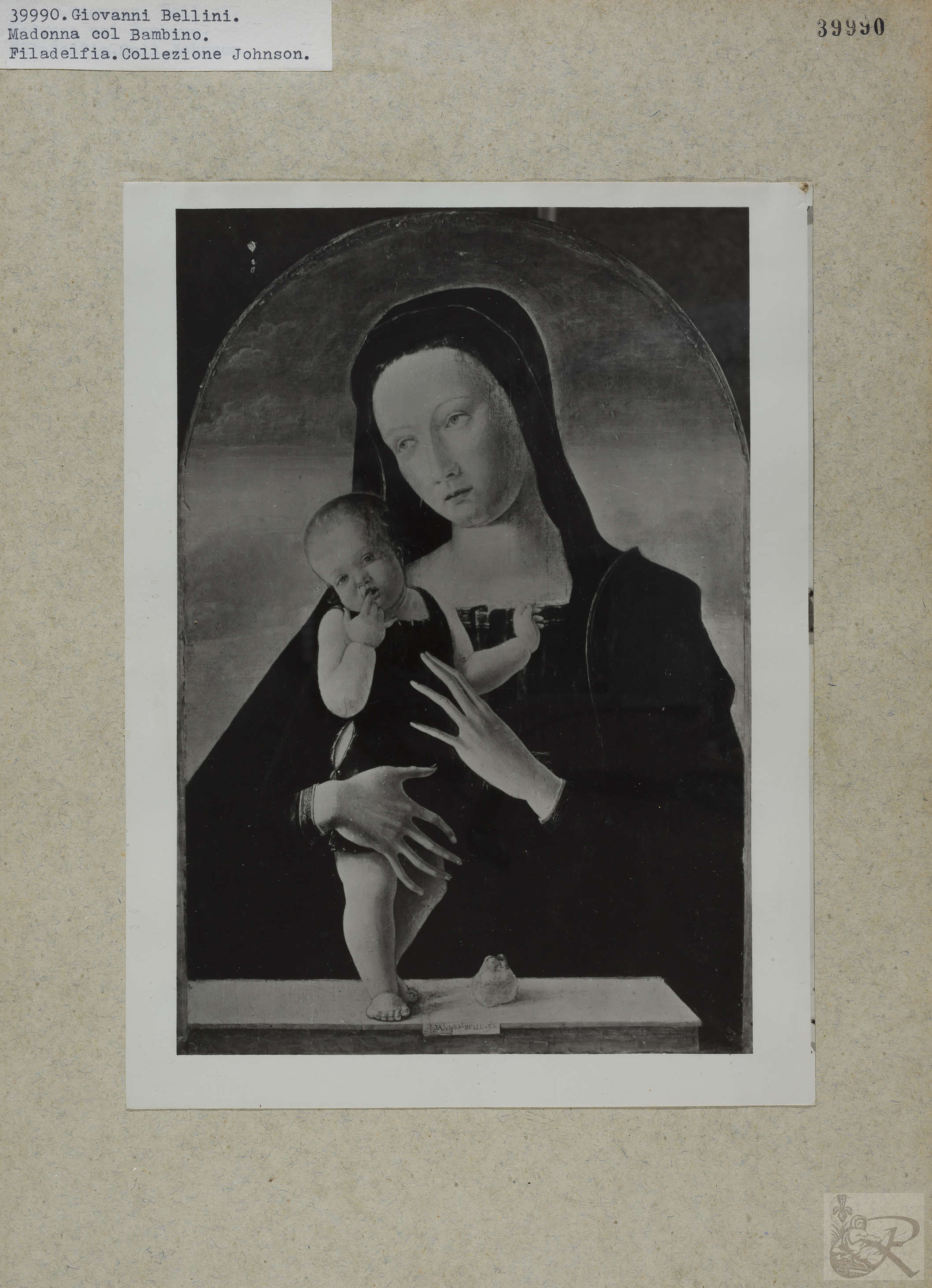 Immagine di anteprima