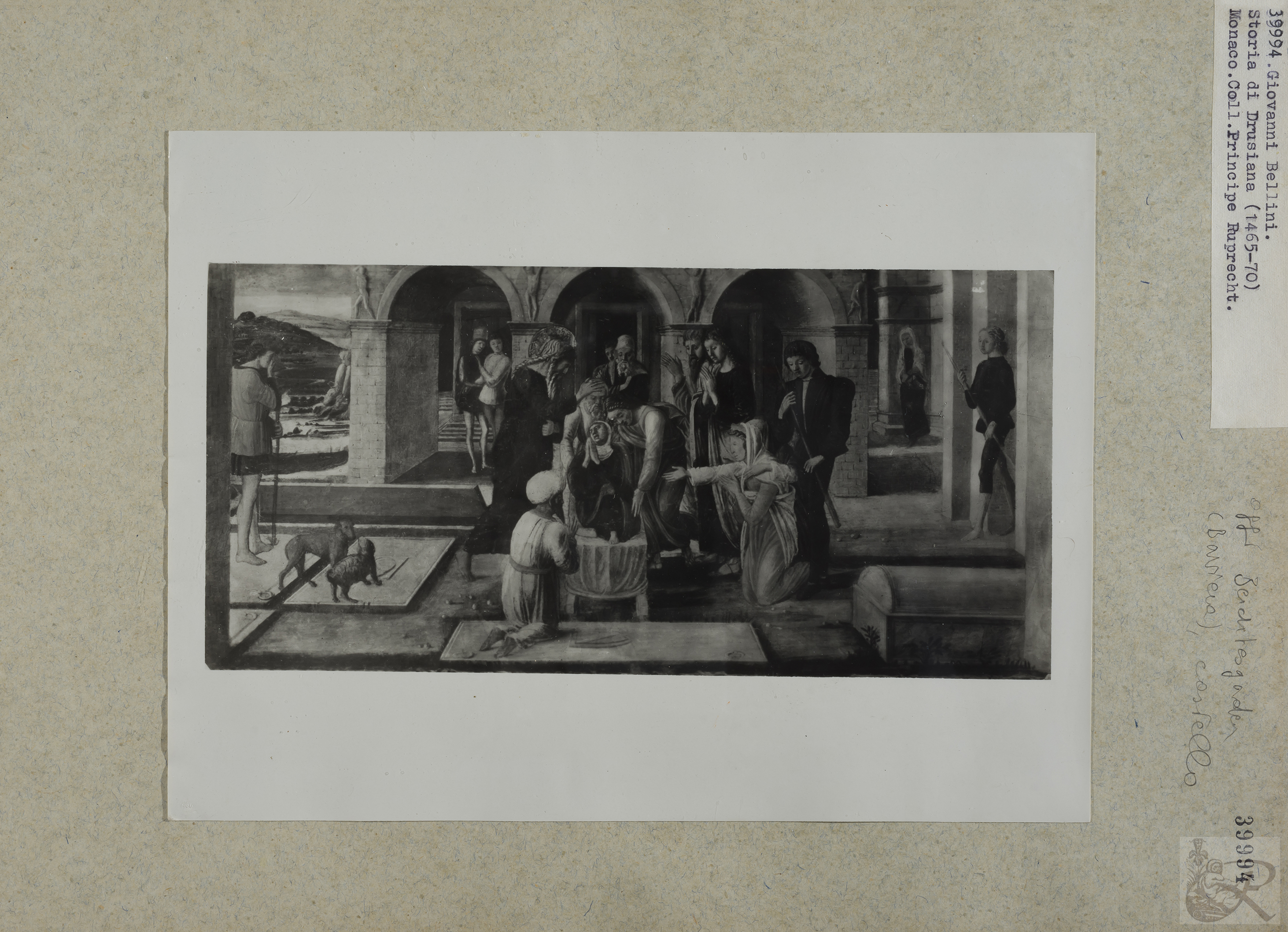 Immagine di anteprima