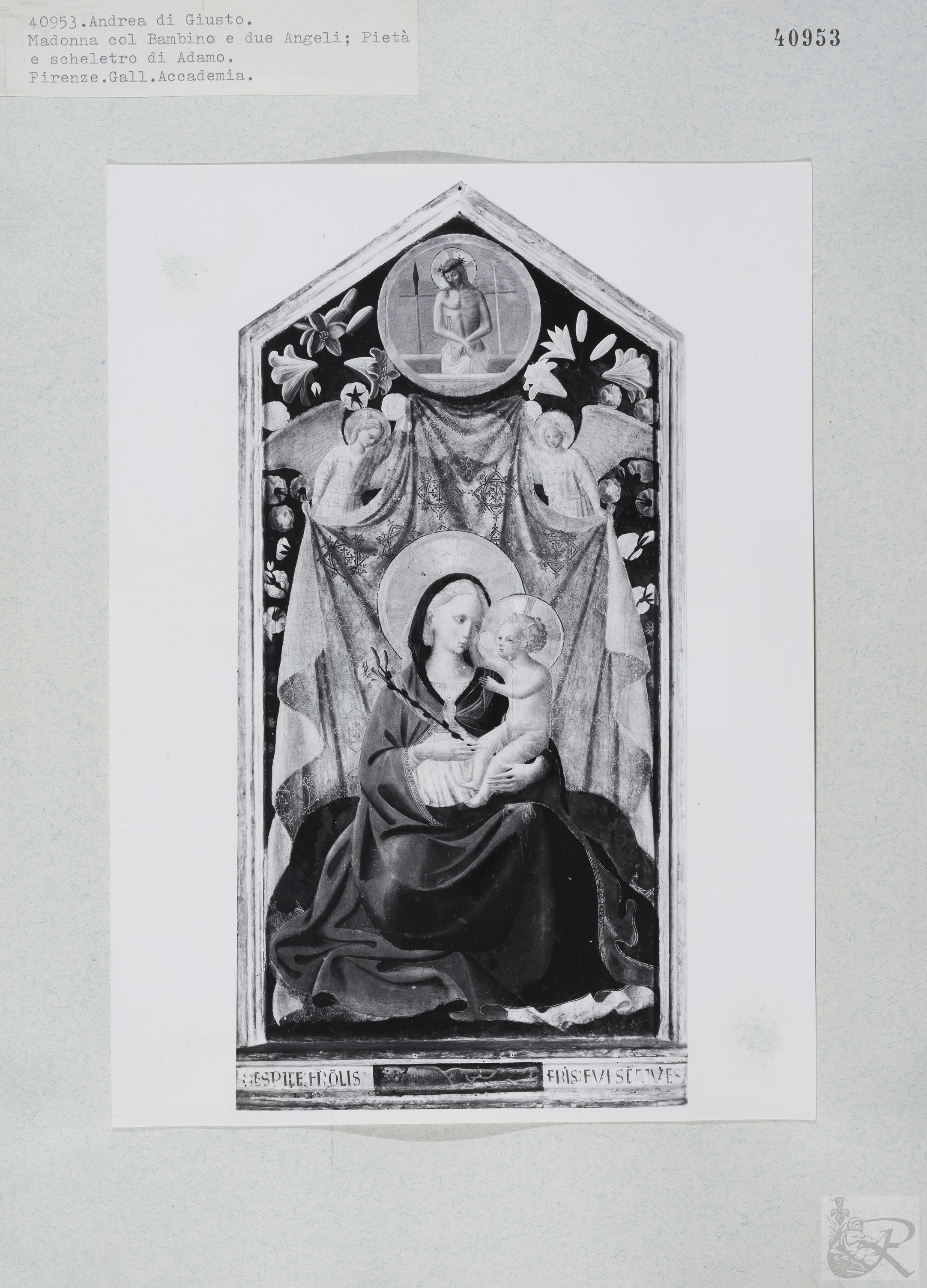 Immagine di anteprima