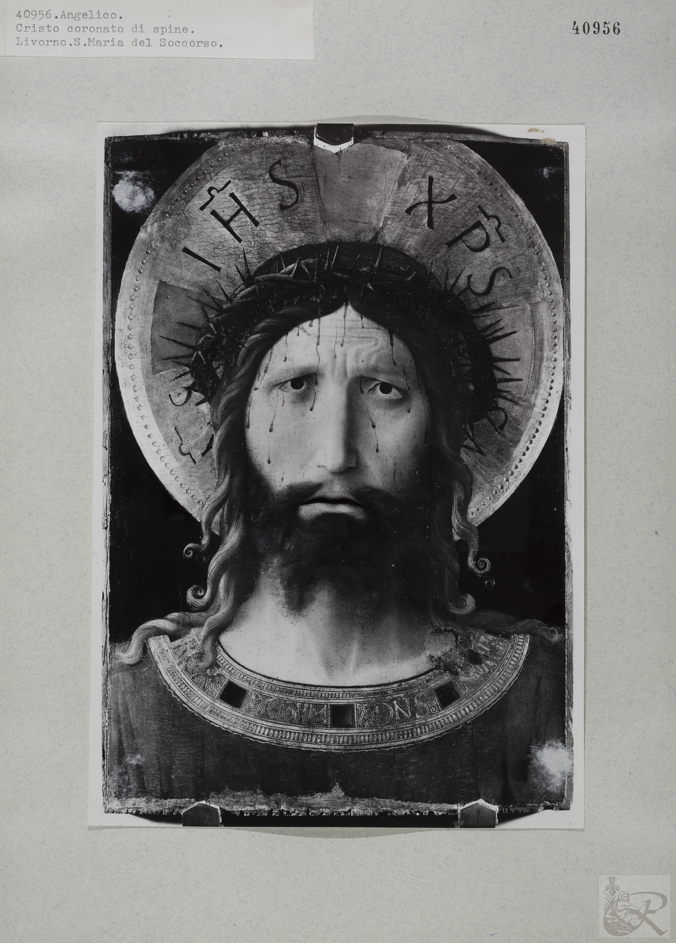 Immagine di anteprima