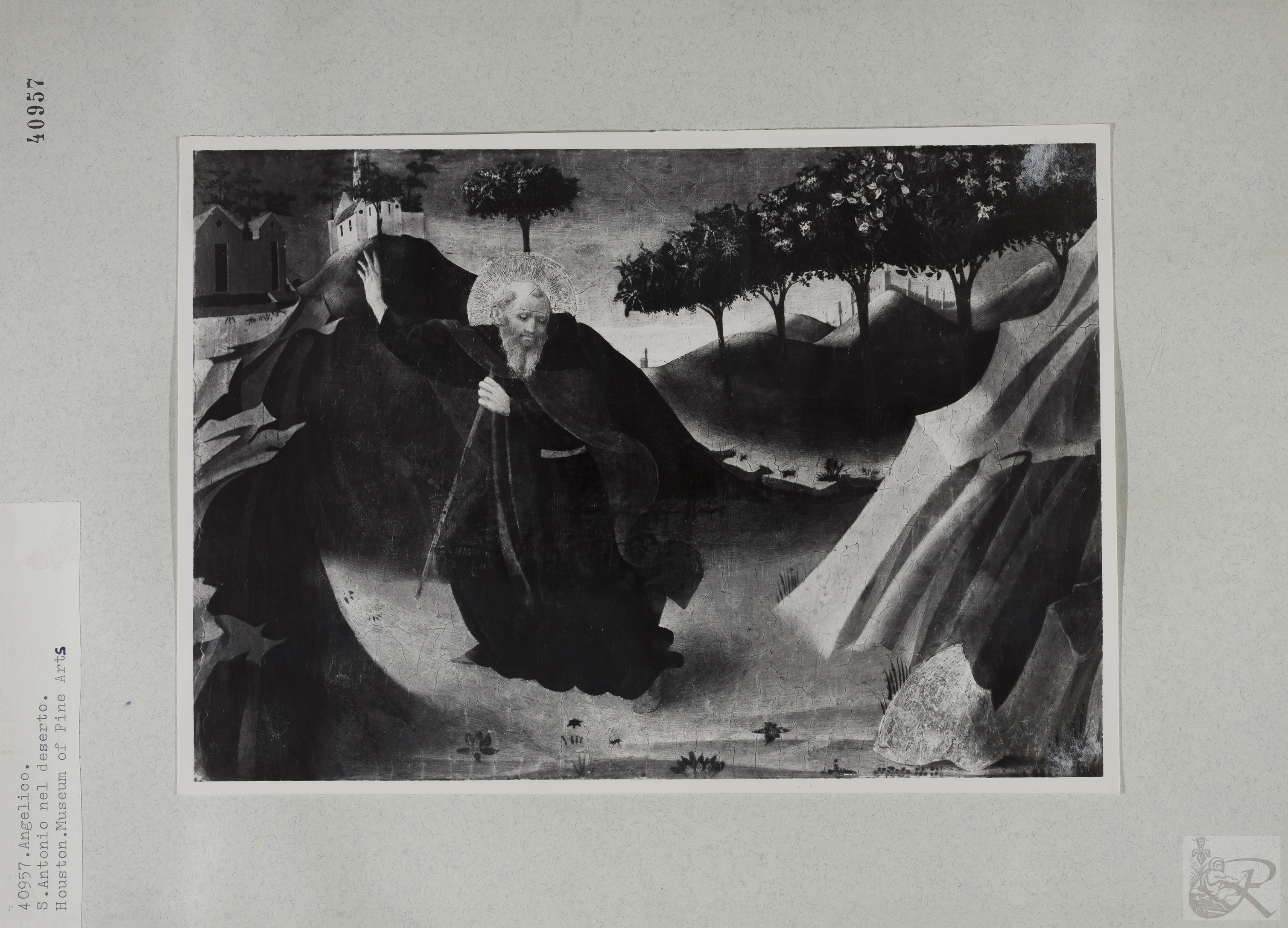 Immagine di anteprima