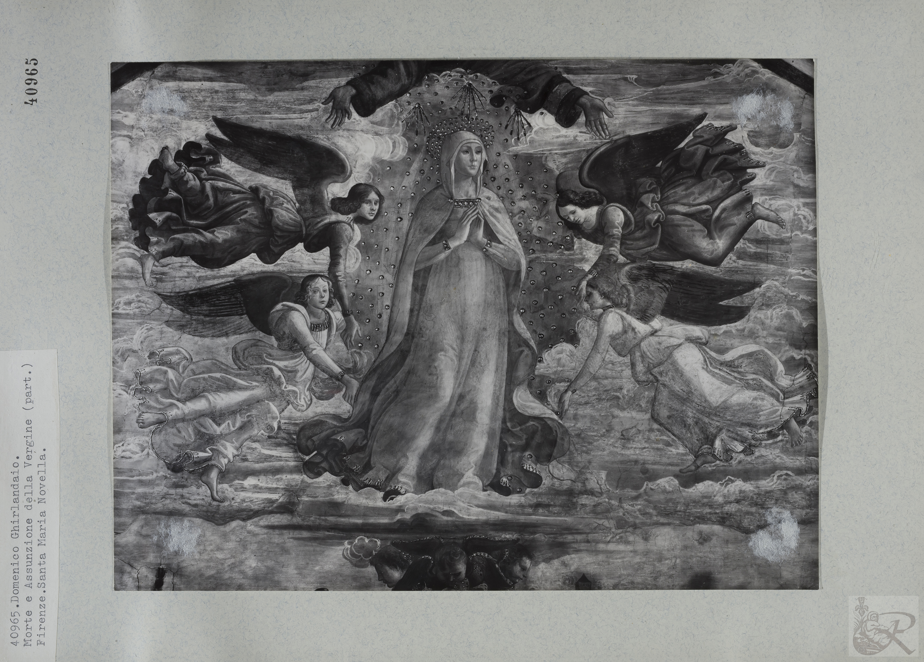 Immagine di anteprima