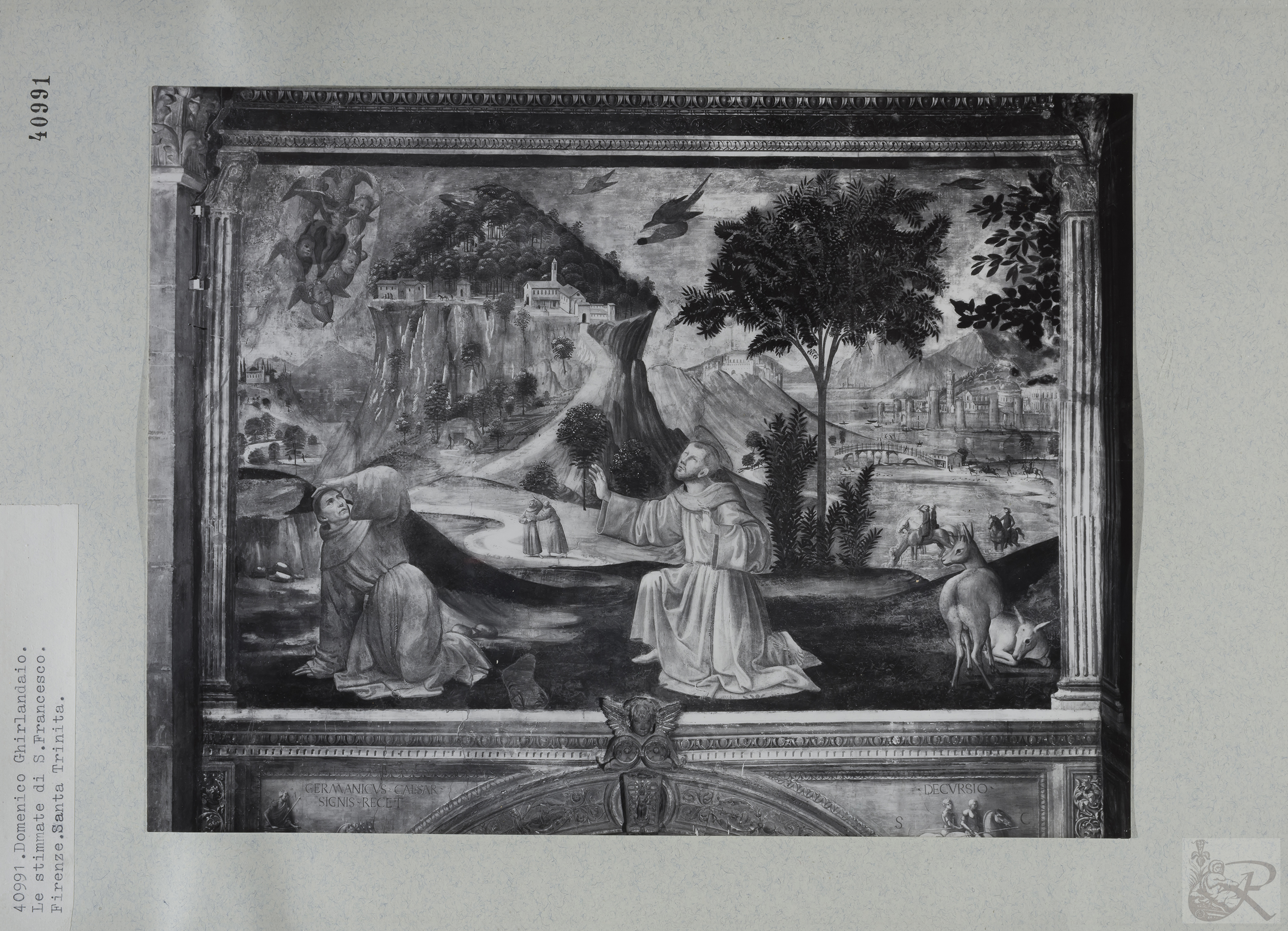 Immagine di anteprima