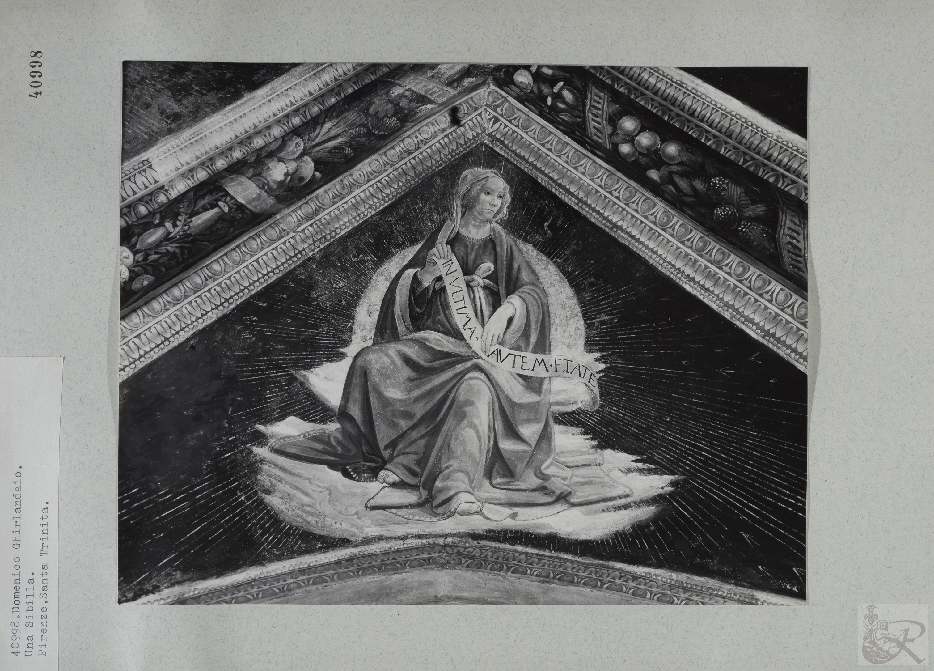 Immagine di anteprima