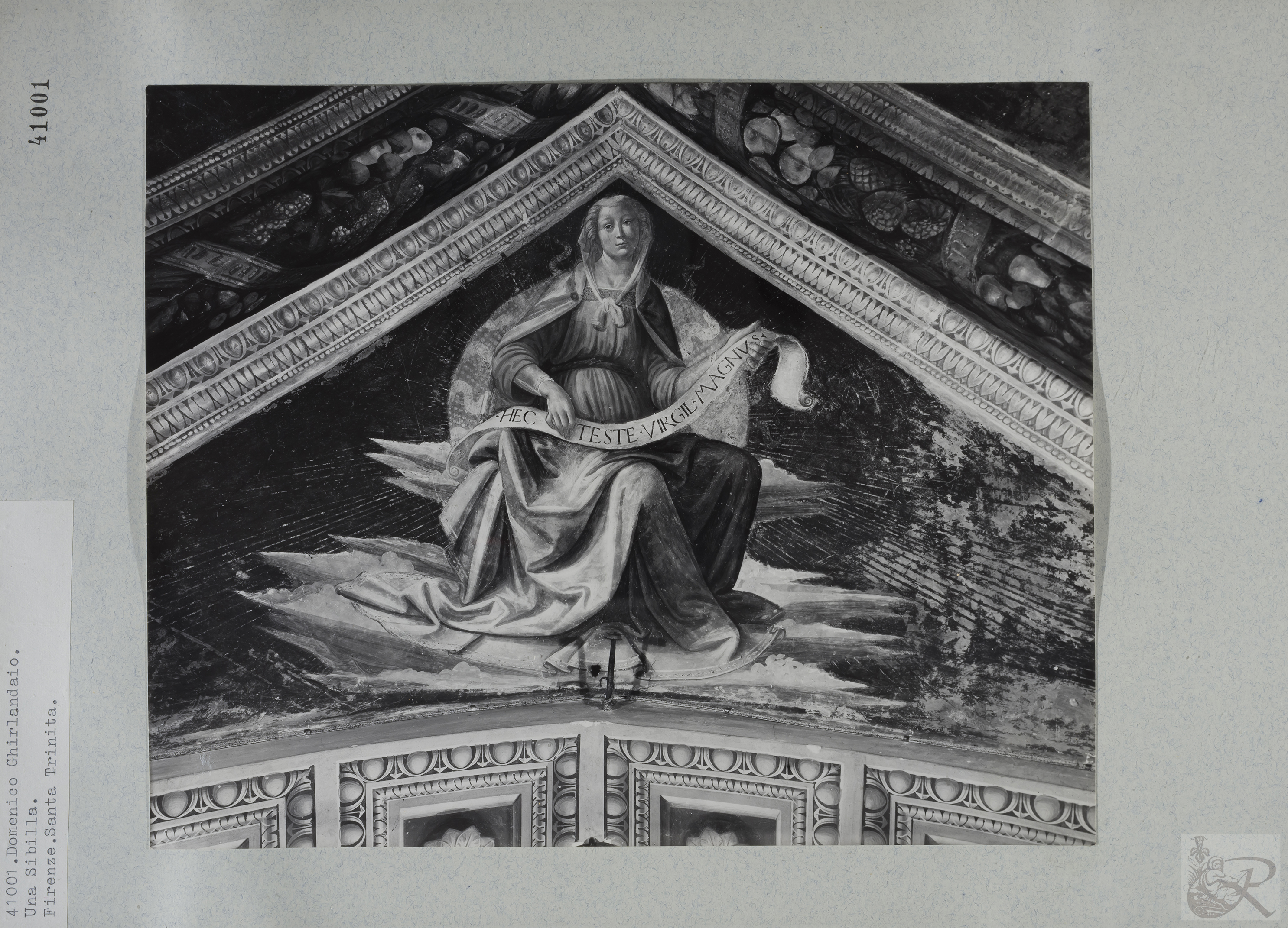 Immagine di anteprima