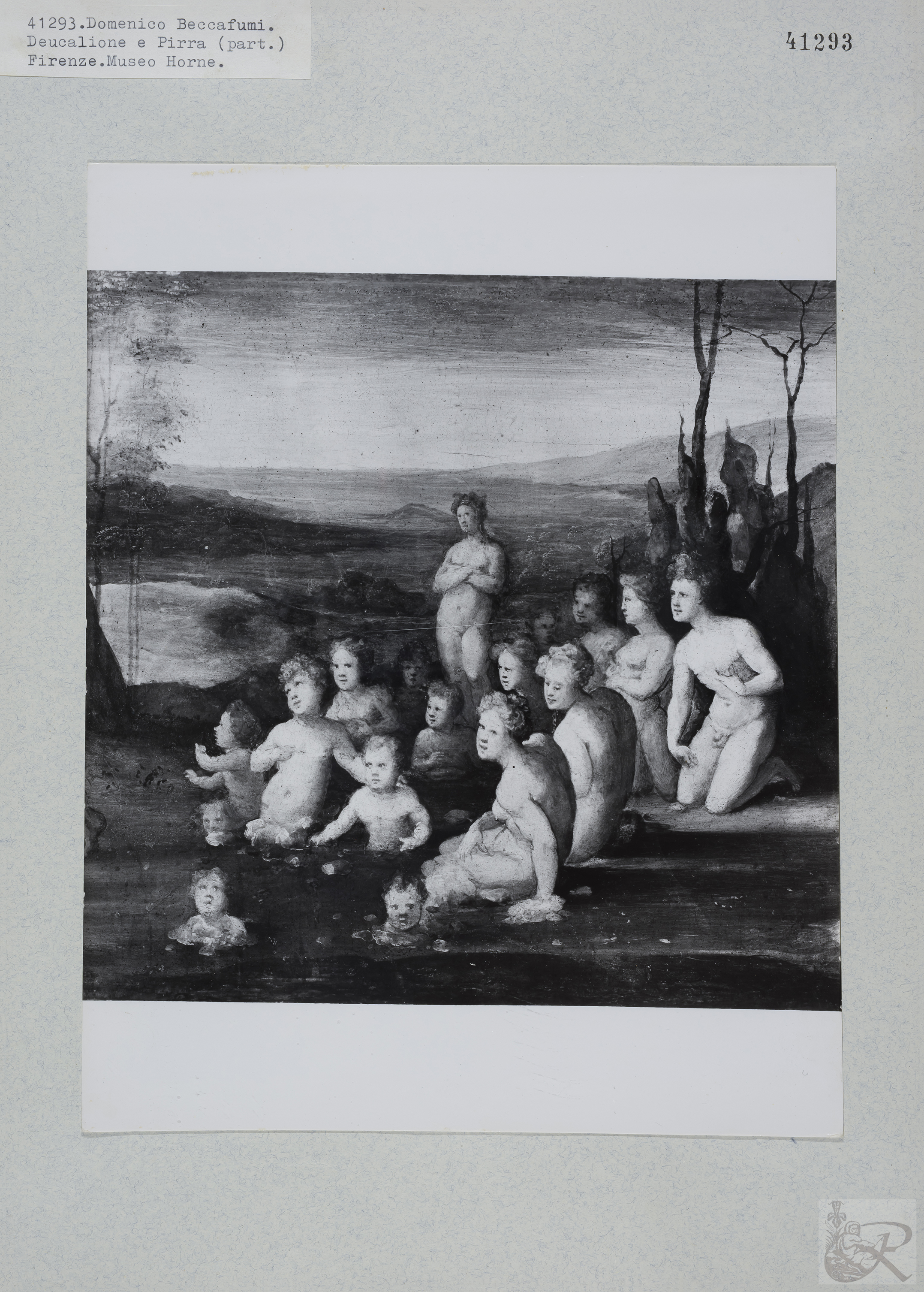 Immagine di anteprima