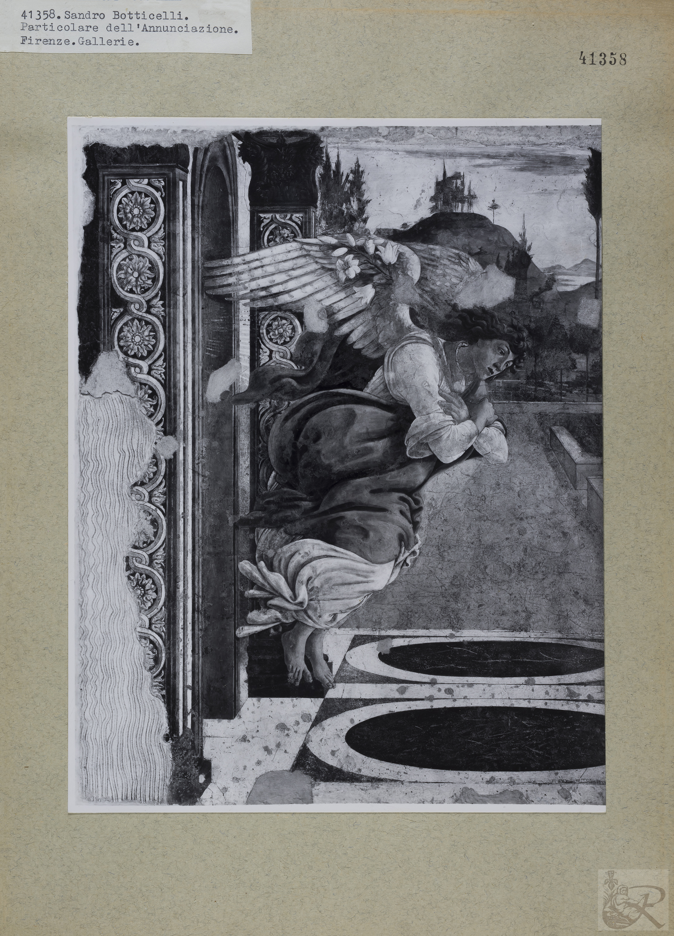 Immagine di anteprima